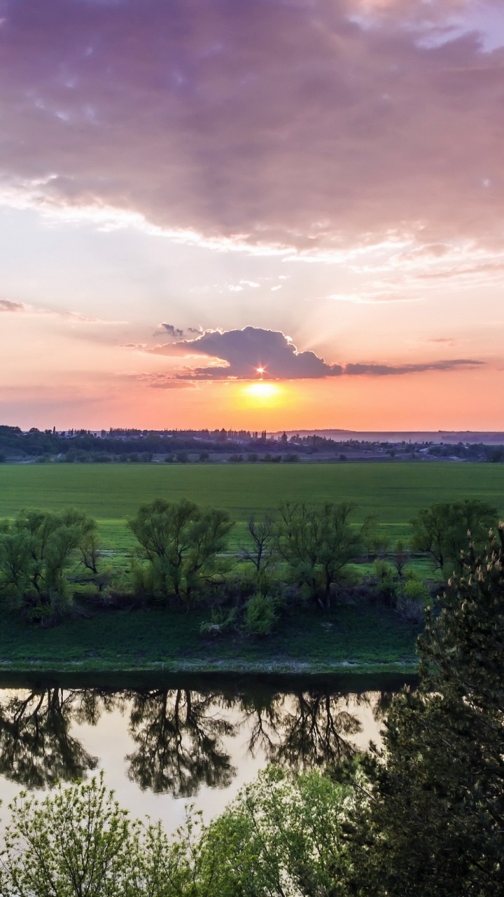 Arbres Verts Près du Plan D'eau Pendant le Coucher du Soleil. Wallpaper in 720x1280 Resolution