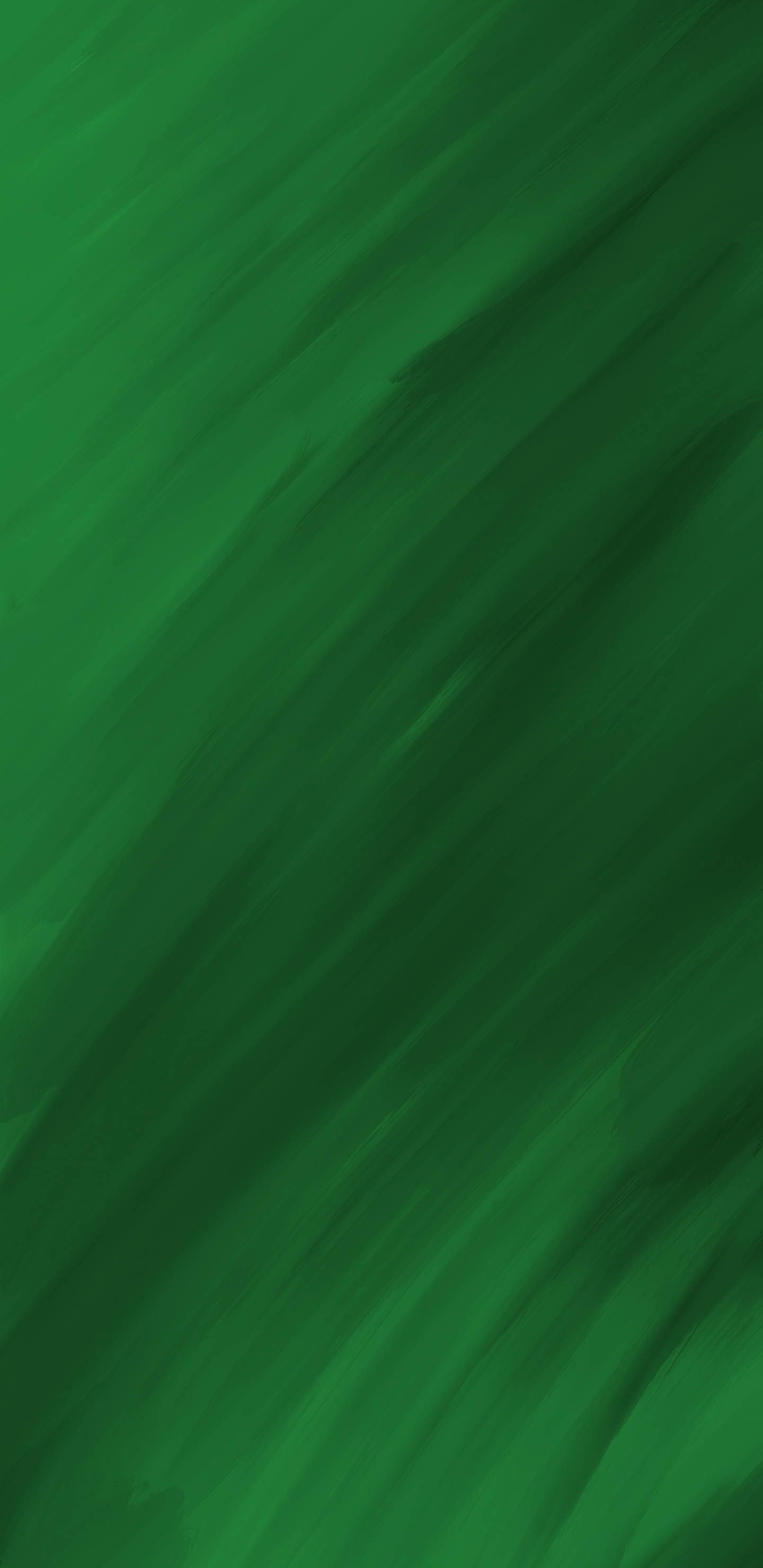 Cabello, Verde, Azure, Planta Terrestre, Aqua. Wallpaper in 1440x2960 Resolution