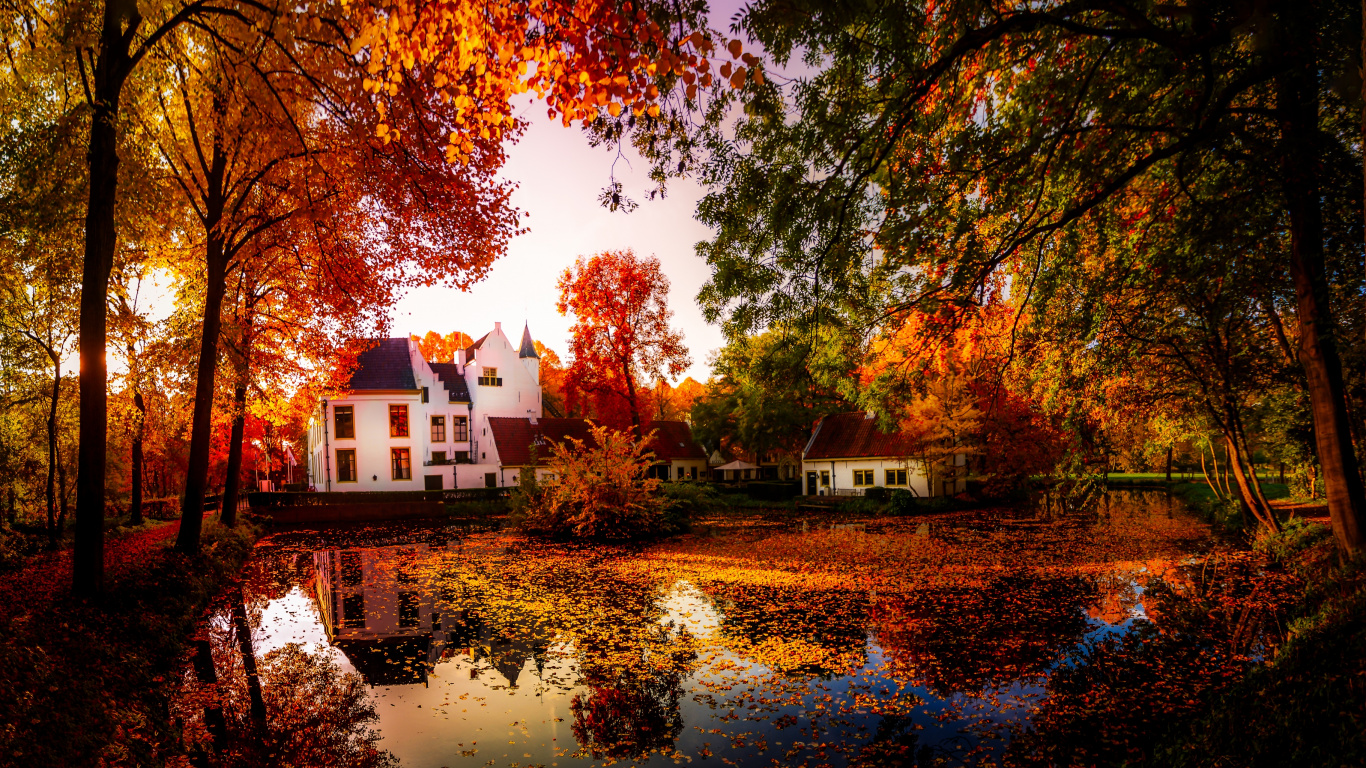 Casa Blanca y Marrón Cerca Del Cuerpo de Agua. Wallpaper in 1366x768 Resolution