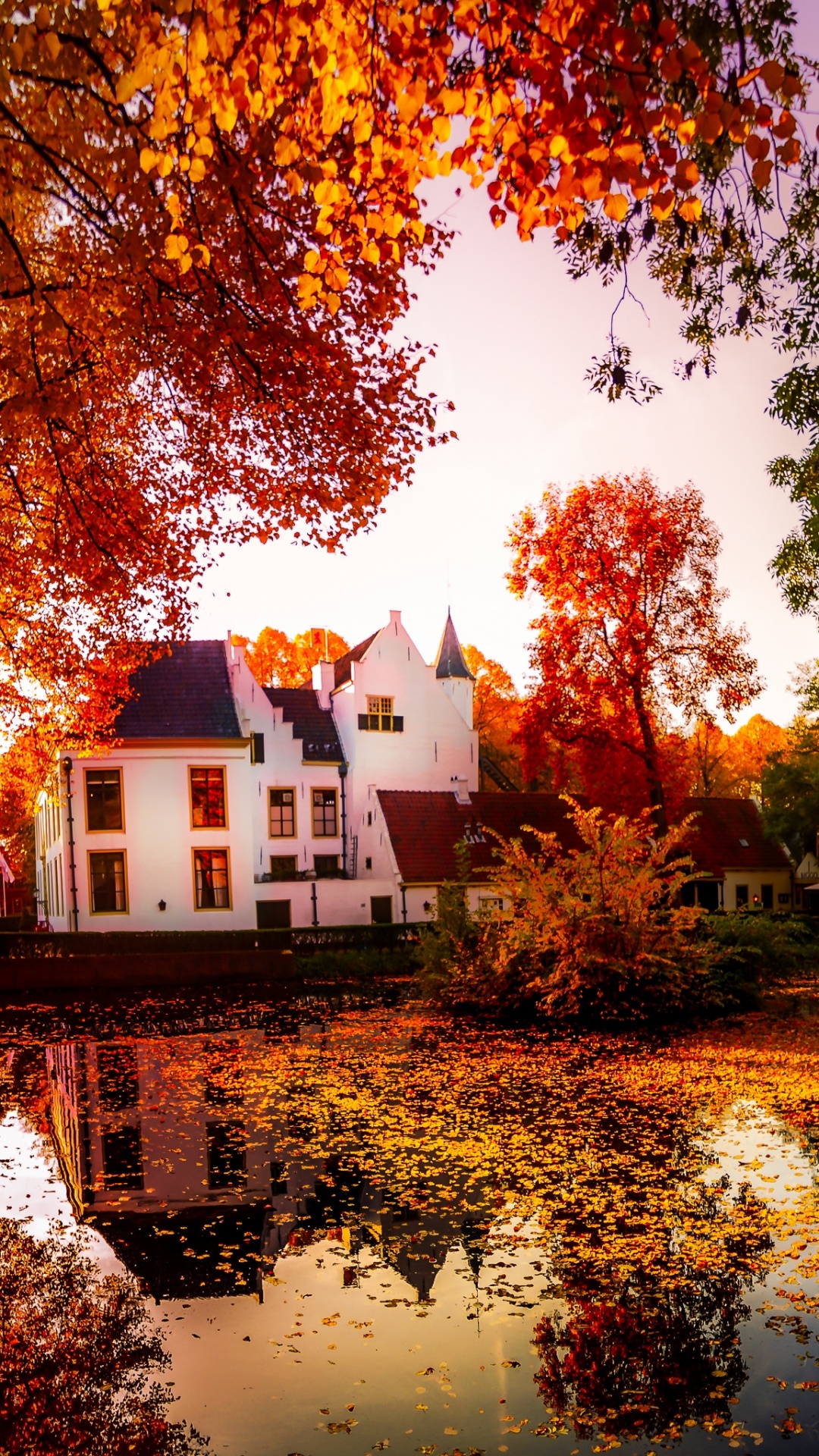 White and Brown House Near Body of Water. Wallpaper in 1080x1920 Resolution