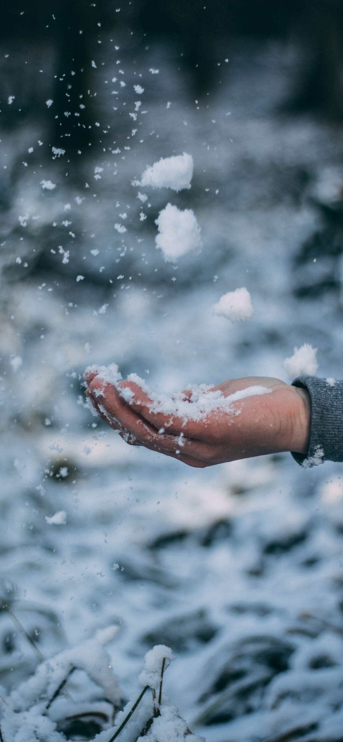 Personne en Chemise à Manches Longues Grise Avec de la Neige Blanche à Portée de Main. Wallpaper in 1125x2436 Resolution