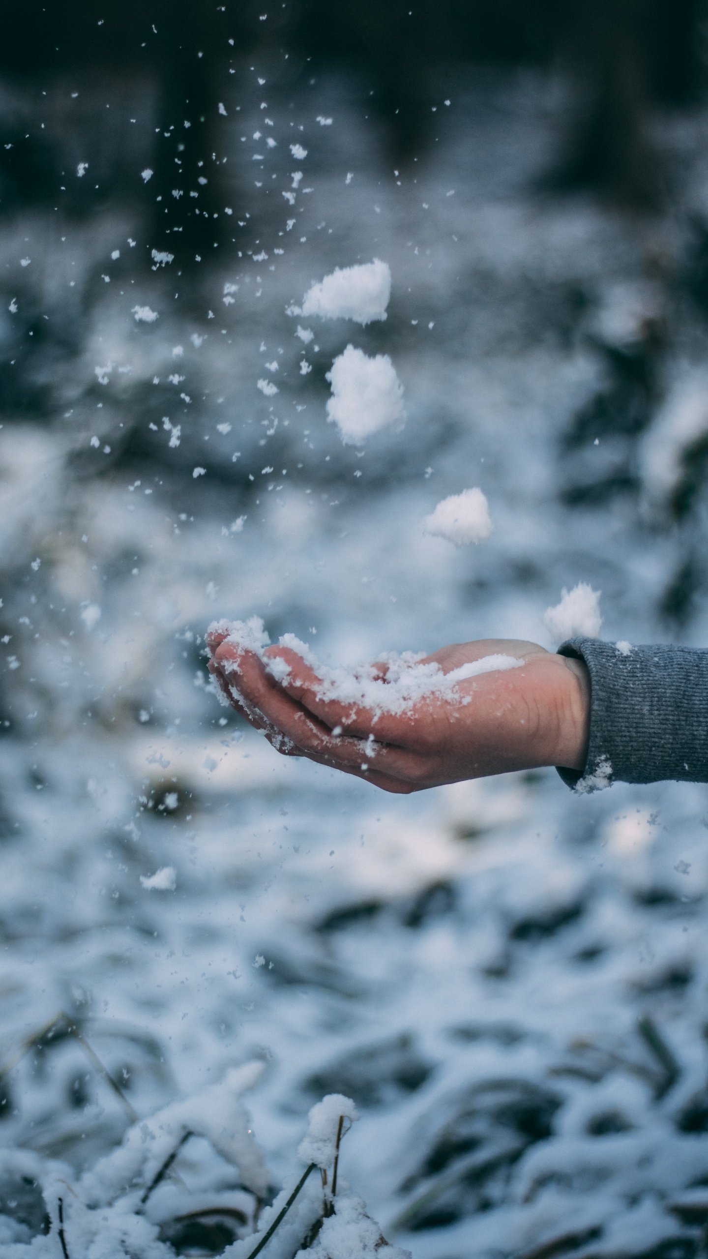 Personne en Chemise à Manches Longues Grise Avec de la Neige Blanche à Portée de Main. Wallpaper in 1440x2560 Resolution