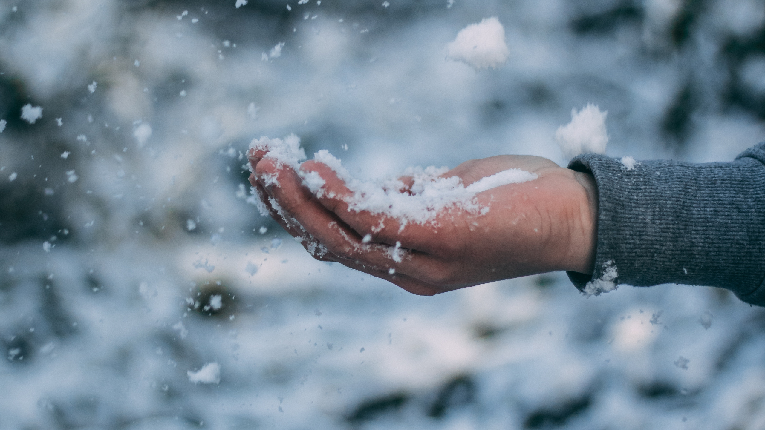 Personne en Chemise à Manches Longues Grise Avec de la Neige Blanche à Portée de Main. Wallpaper in 2560x1440 Resolution