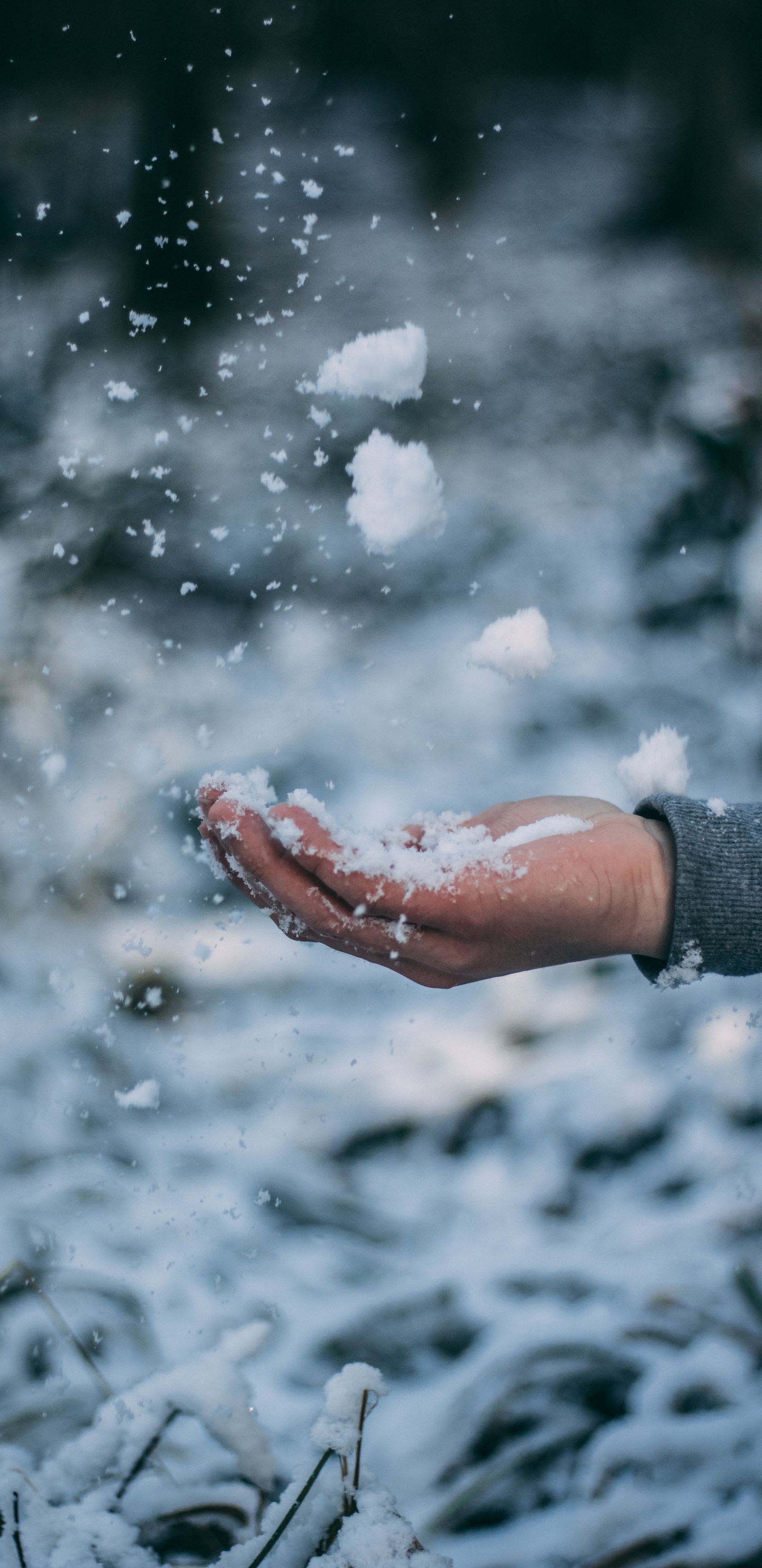 Person im Grauen Langarmhemd Mit Weißem Schnee Auf Der Hand. Wallpaper in 1440x2960 Resolution