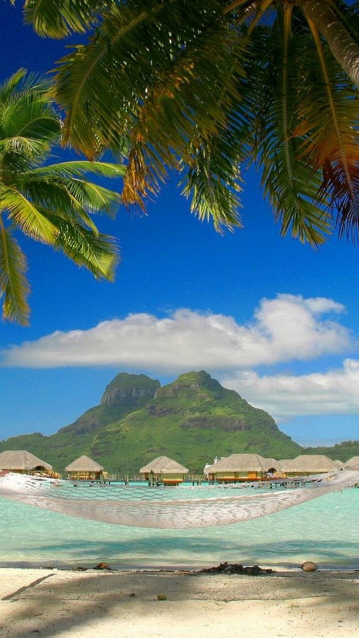 Barco Blanco y Azul en el Mar Cerca de la Isla Verde Durante el Día. Wallpaper in 720x1280 Resolution