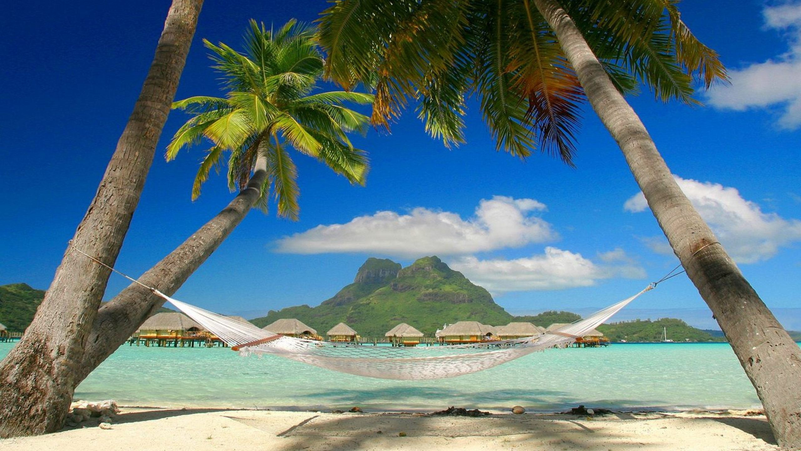Bateau Blanc et Bleu Sur la Mer Près de L'île Verte Pendant la Journée. Wallpaper in 2560x1440 Resolution