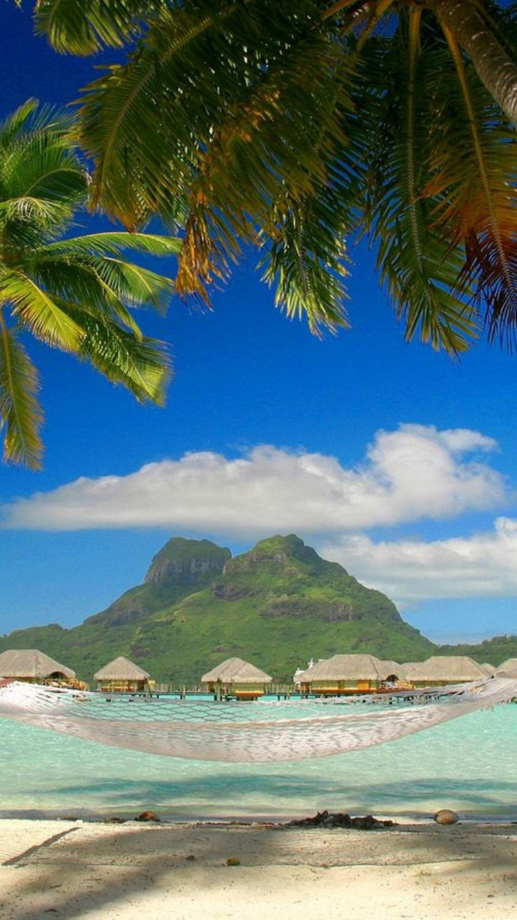 Bateau Blanc et Bleu Sur la Mer Près de L'île Verte Pendant la Journée. Wallpaper in 750x1334 Resolution