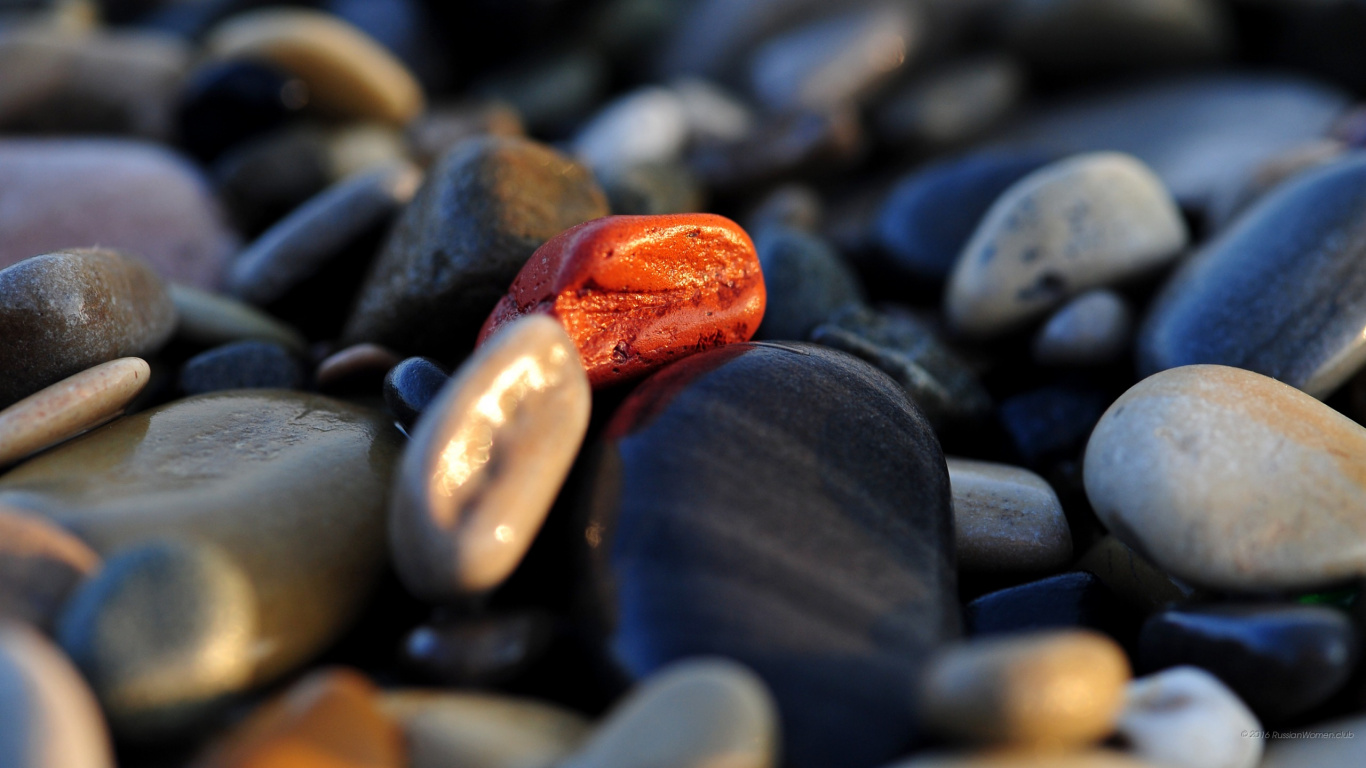 Brown and White Stones on Black and White Pebbles. Wallpaper in 1366x768 Resolution