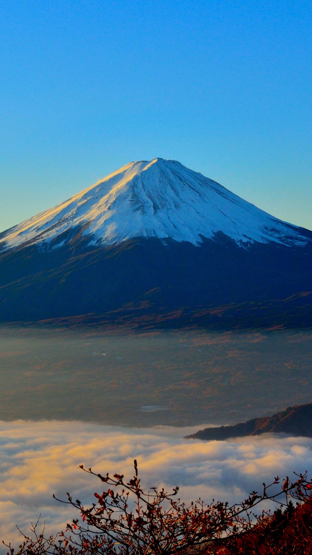 富士山, 多山的地貌, 成层, 荒野, 高地 壁纸 1080x1920 允许