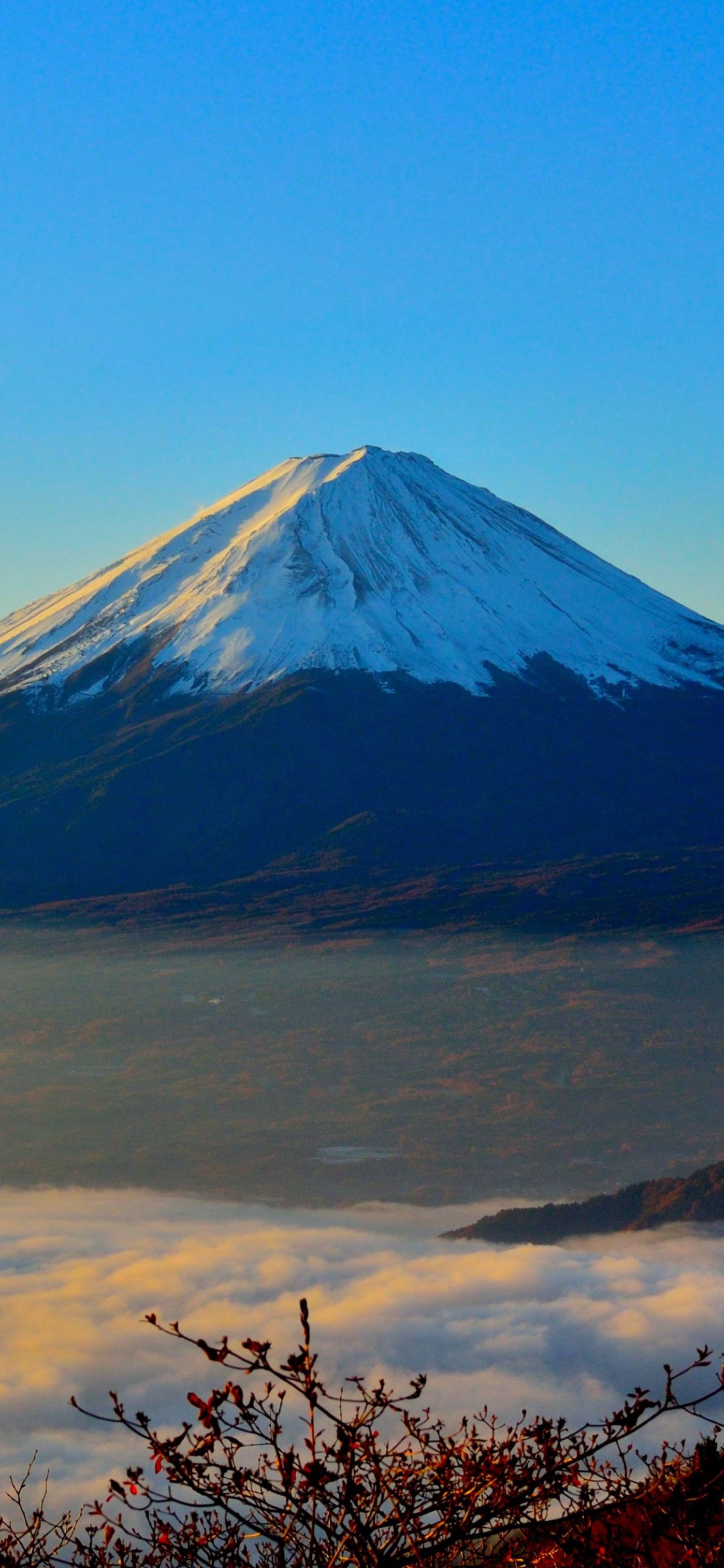 富士山, 多山的地貌, 成层, 荒野, 高地 壁纸 1242x2688 允许
