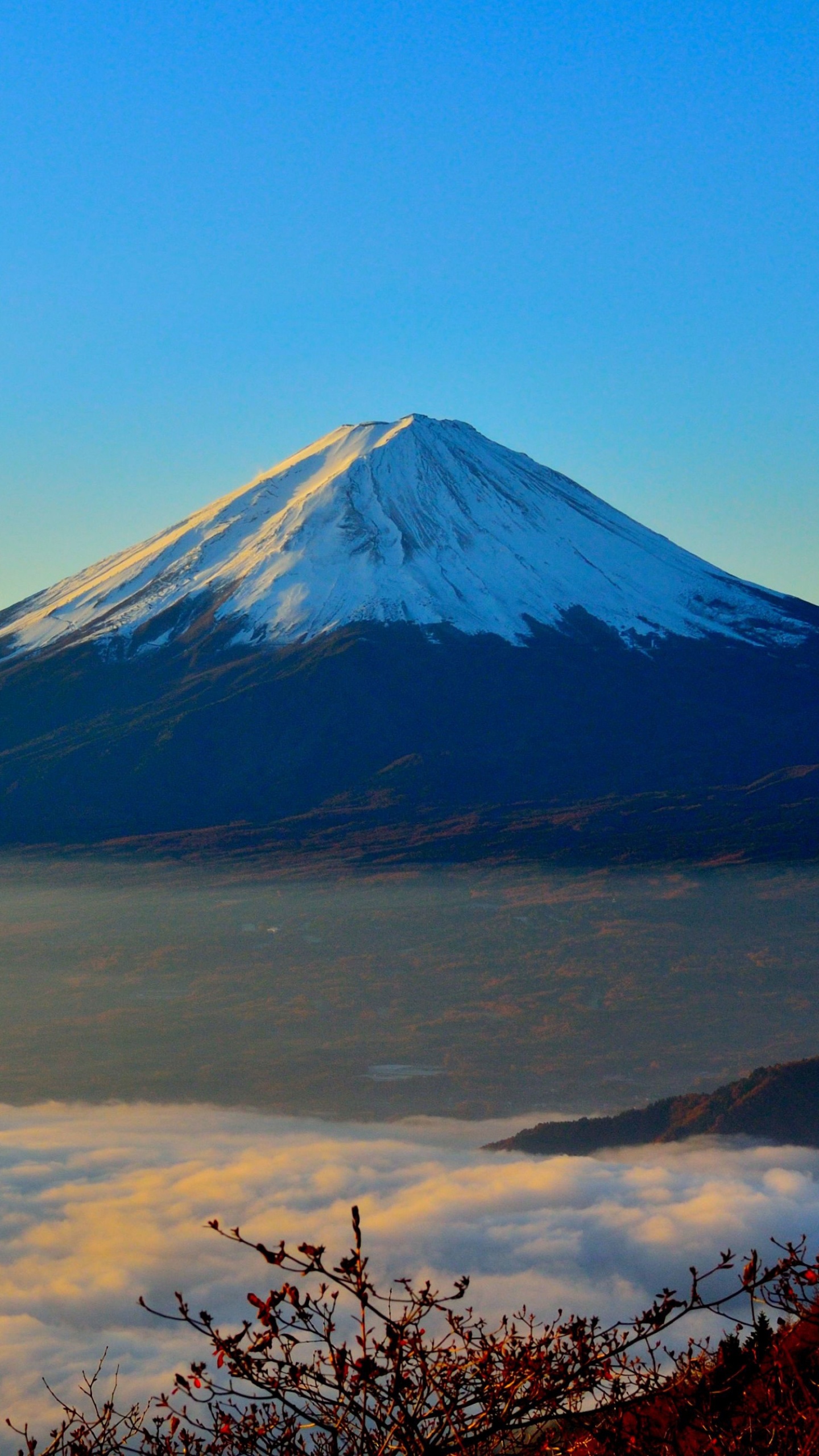 富士山, 多山的地貌, 成层, 荒野, 高地 壁纸 1440x2560 允许