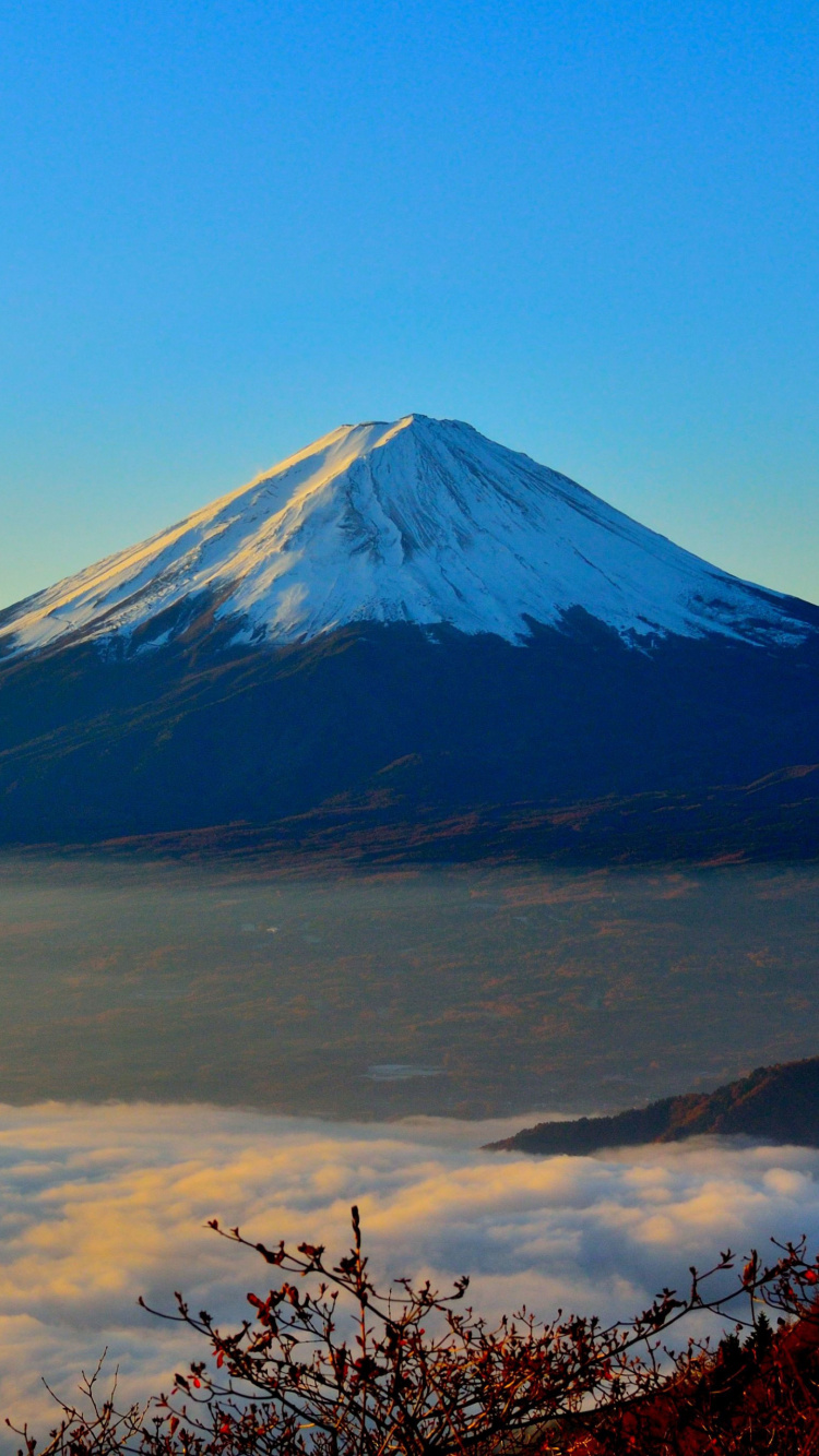 富士山, 多山的地貌, 成层, 荒野, 高地 壁纸 750x1334 允许