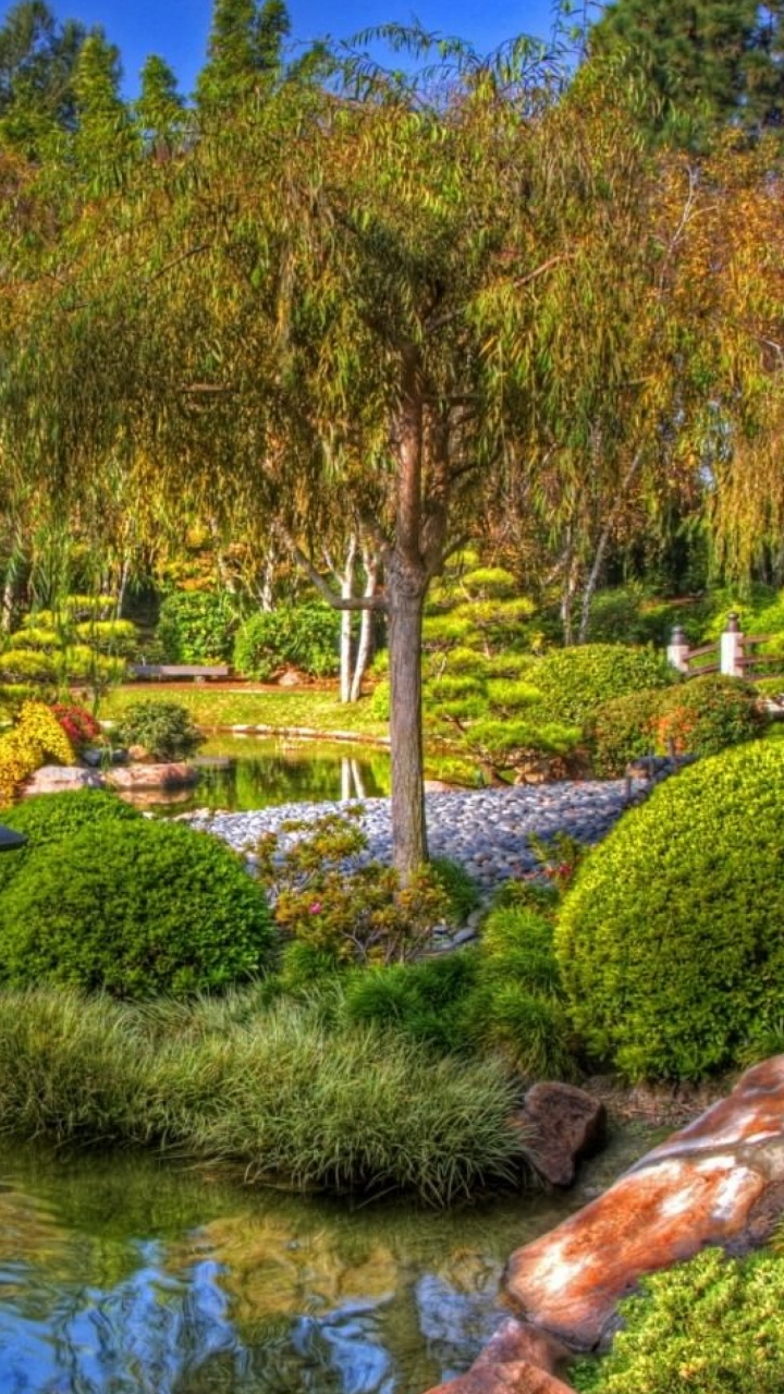 Green Trees Near Body of Water During Daytime. Wallpaper in 720x1280 Resolution