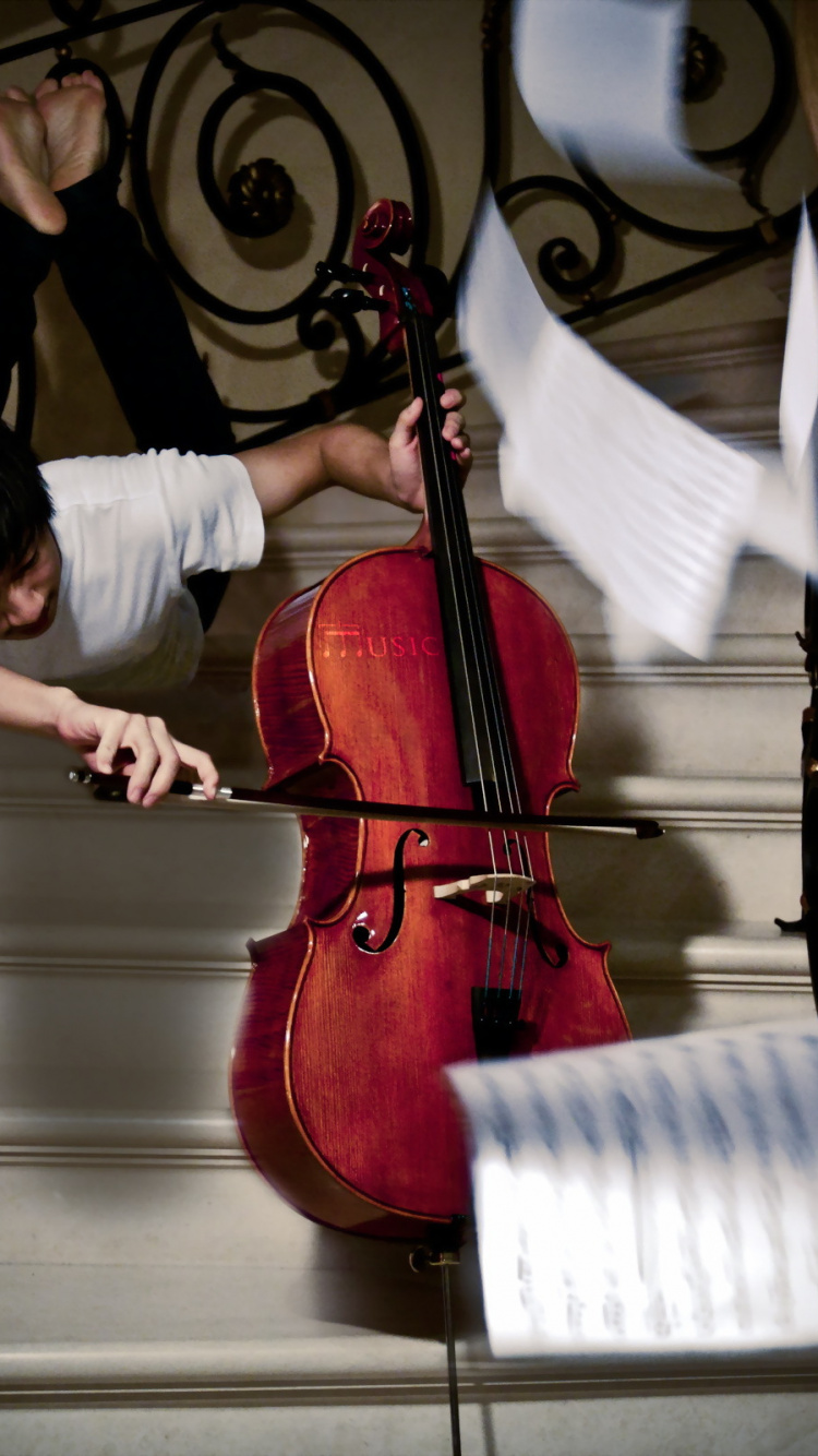 Cello, Violin, String Instrument, Architecture, Music. Wallpaper in 750x1334 Resolution