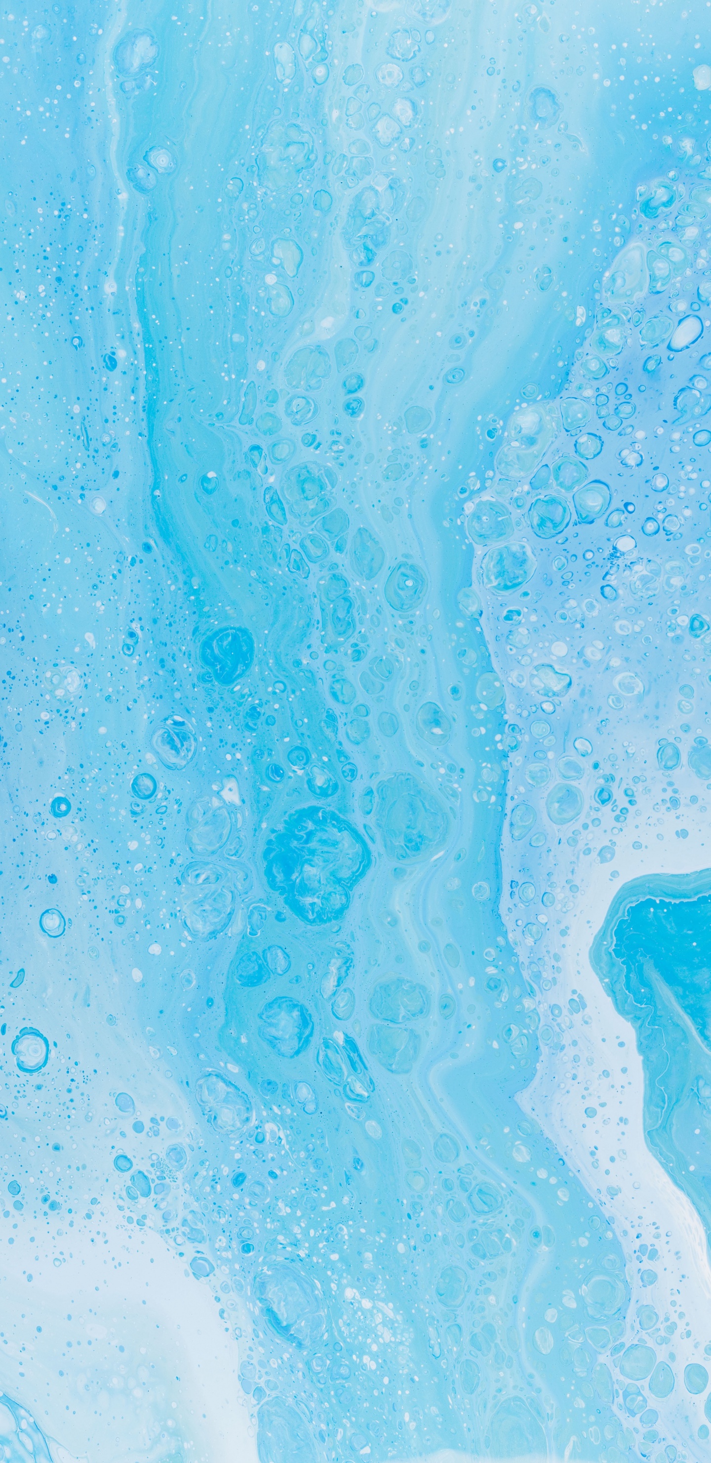 水上, Azure, 冰川地貌 壁纸 1440x2960 允许