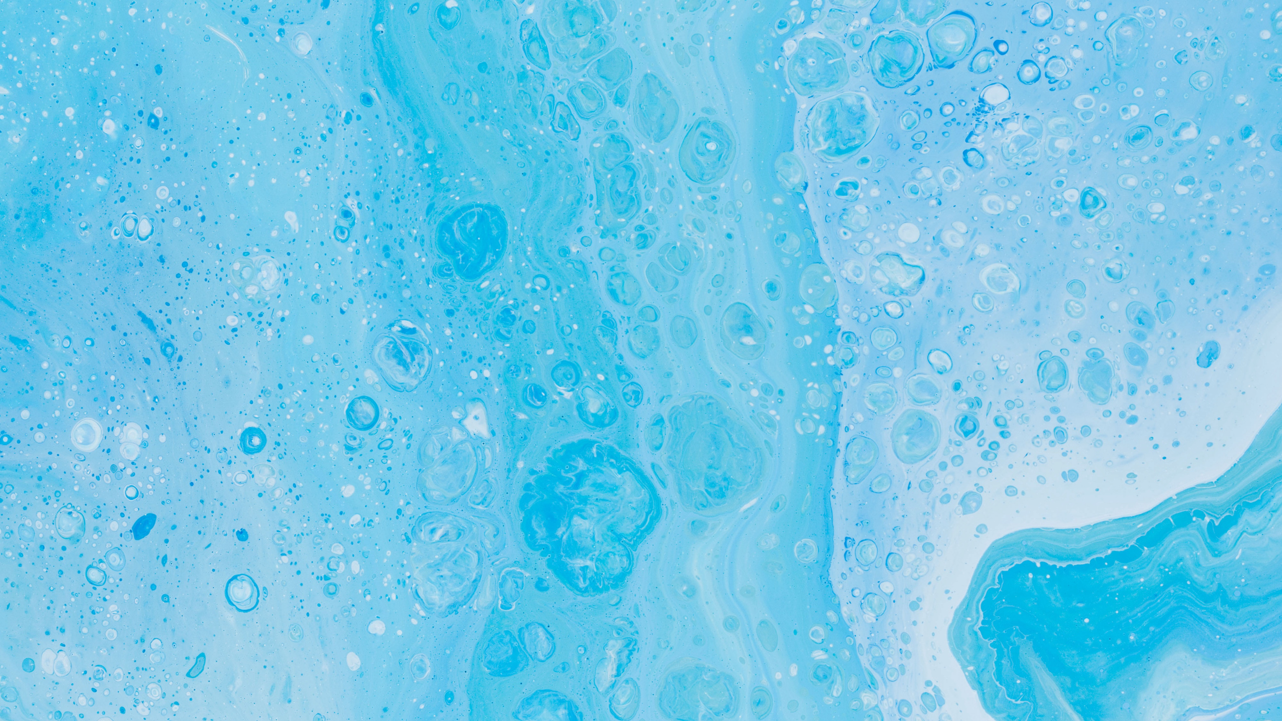 Peinture Abstraite Bleue et Blanche. Wallpaper in 2560x1440 Resolution
