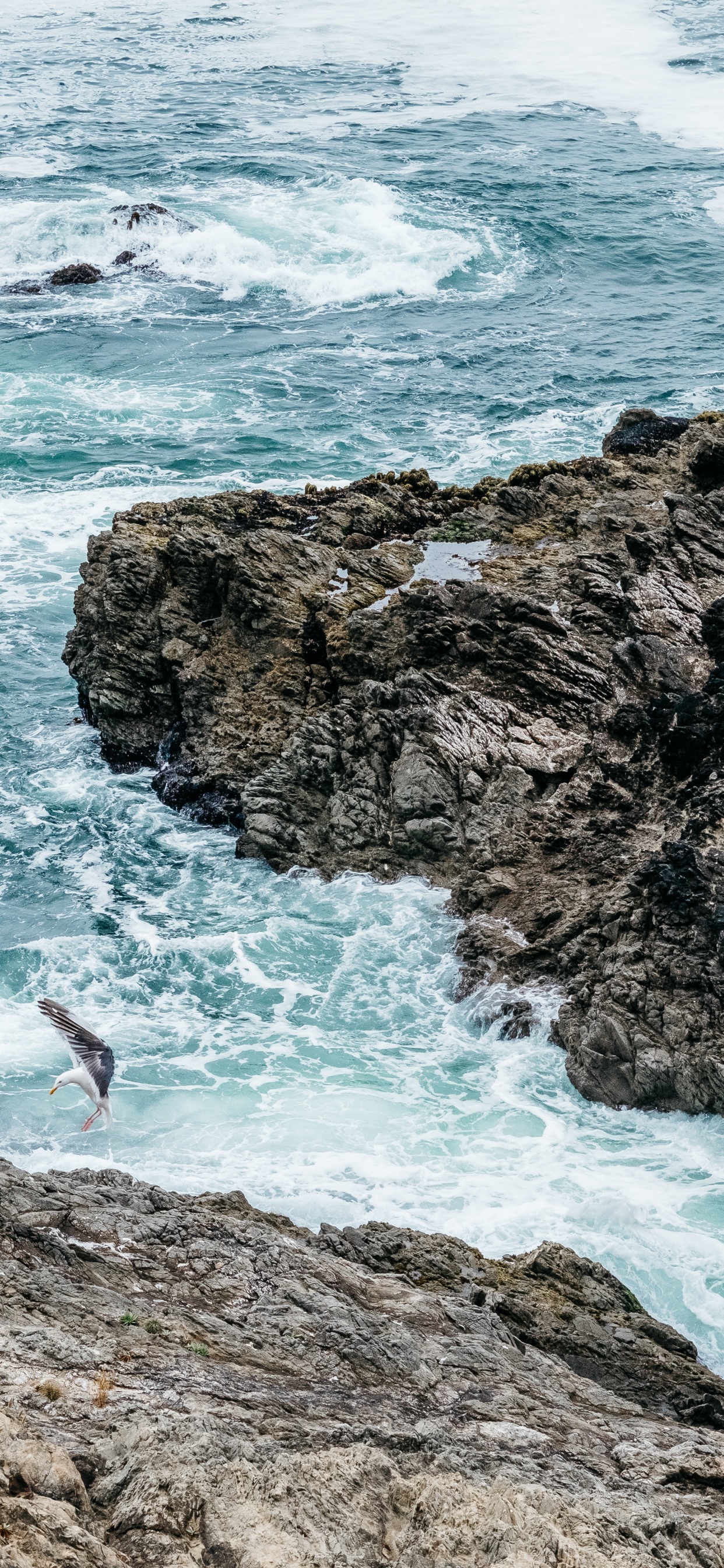Coastal and Oceanic Landforms, Headland, Tourism, Ocean, Beach. Wallpaper in 1242x2688 Resolution