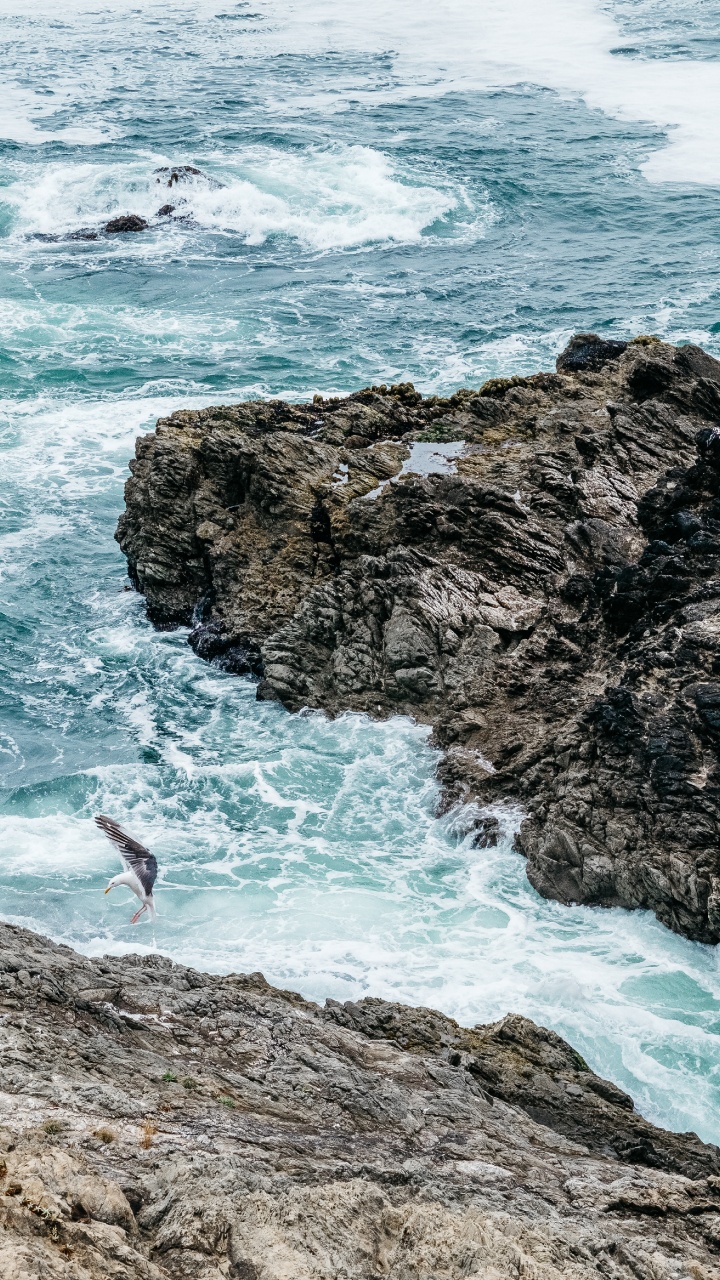 Coastal and Oceanic Landforms, Headland, Tourism, Ocean, Beach. Wallpaper in 720x1280 Resolution