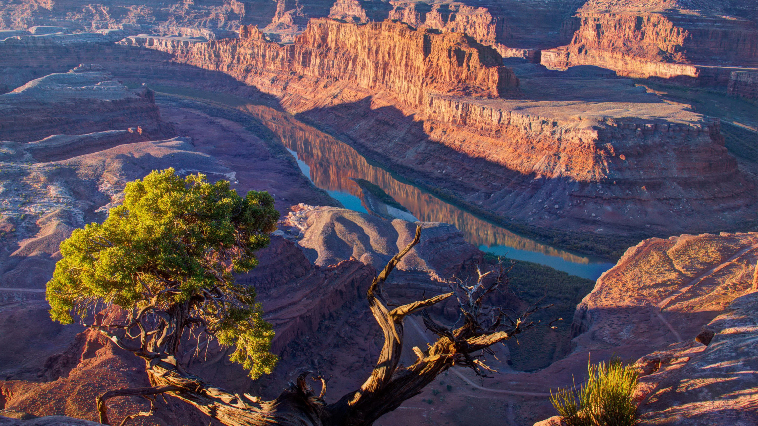 Montagne Rocheuse Brune Avec Des Arbres Verts Pendant la Journée. Wallpaper in 2560x1440 Resolution
