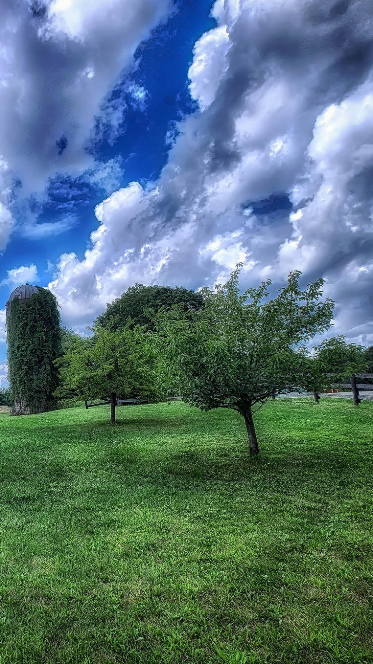 Granero de Madera Marrón Bajo un Cielo Azul y Nubes Blancas Durante el Día. Wallpaper in 750x1334 Resolution
