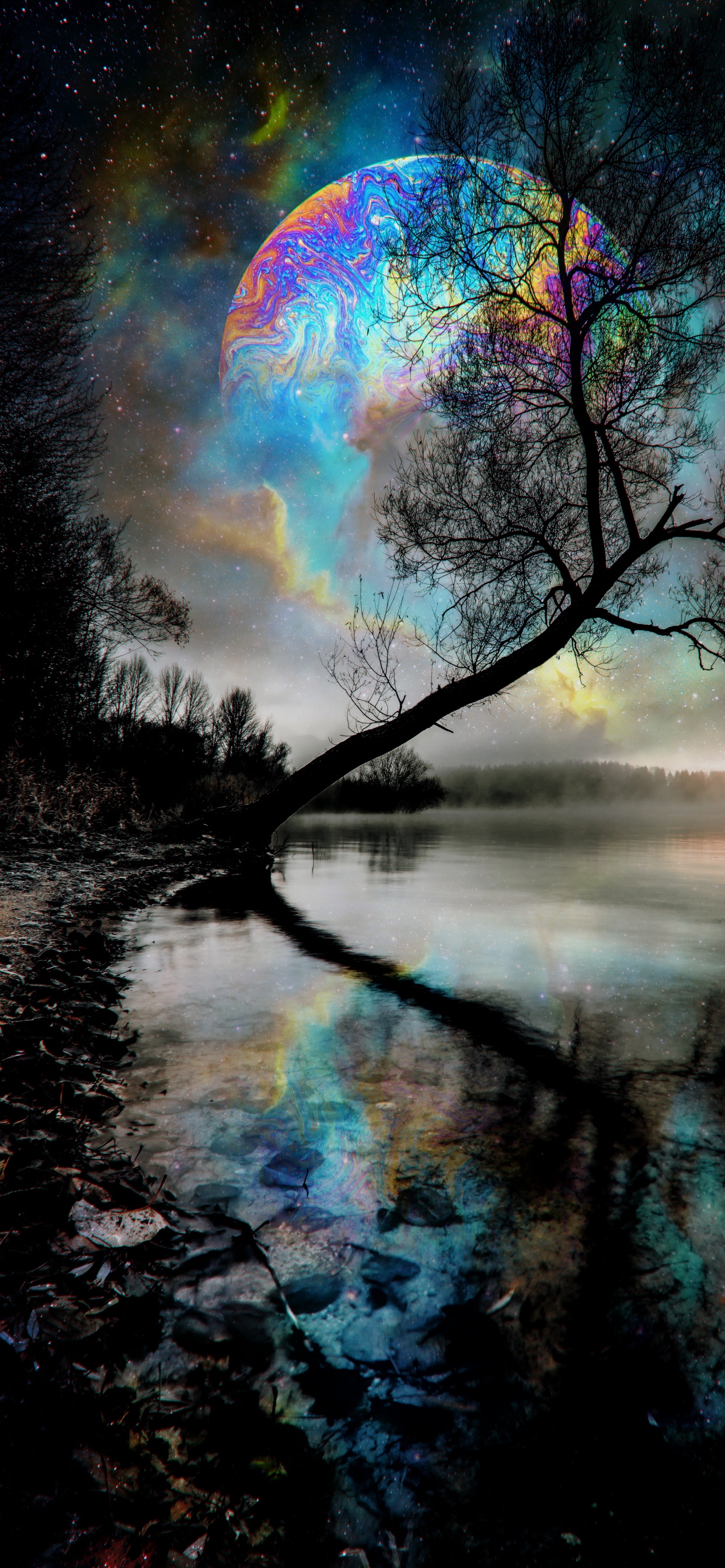 Naturaleza, Agua, Los Recursos de Agua, Ambiente, Paisaje Natural. Wallpaper in 1242x2688 Resolution