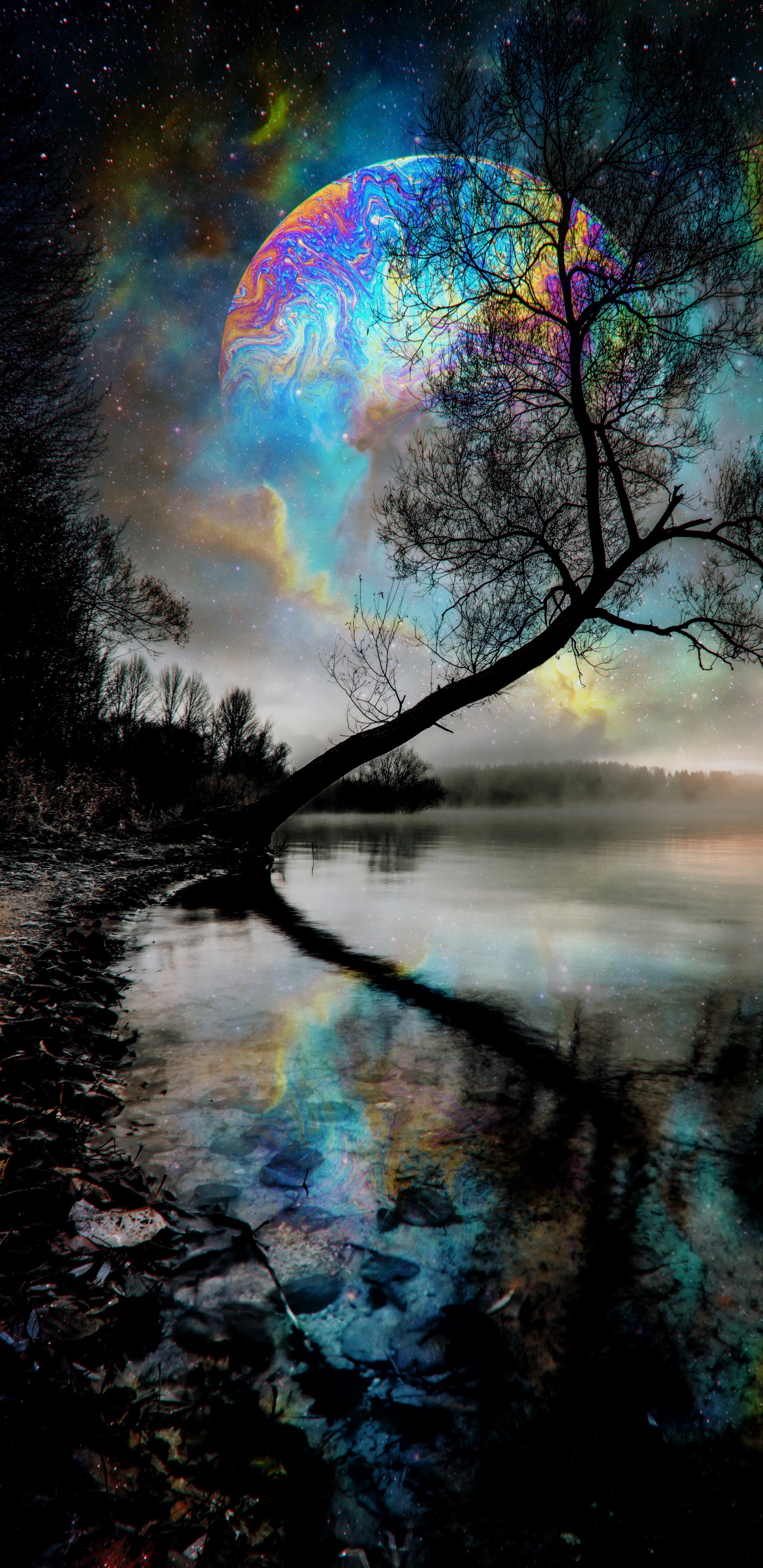 Nature, Water, Water Resources, Atmosphere, Daytime. Wallpaper in 1440x2960 Resolution