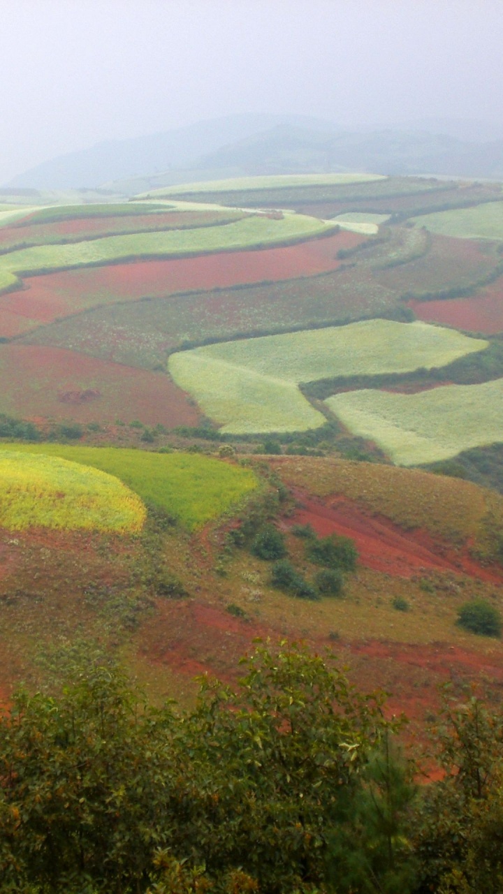 Tagsüber Grüne Und Braune Wiese Grass. Wallpaper in 720x1280 Resolution