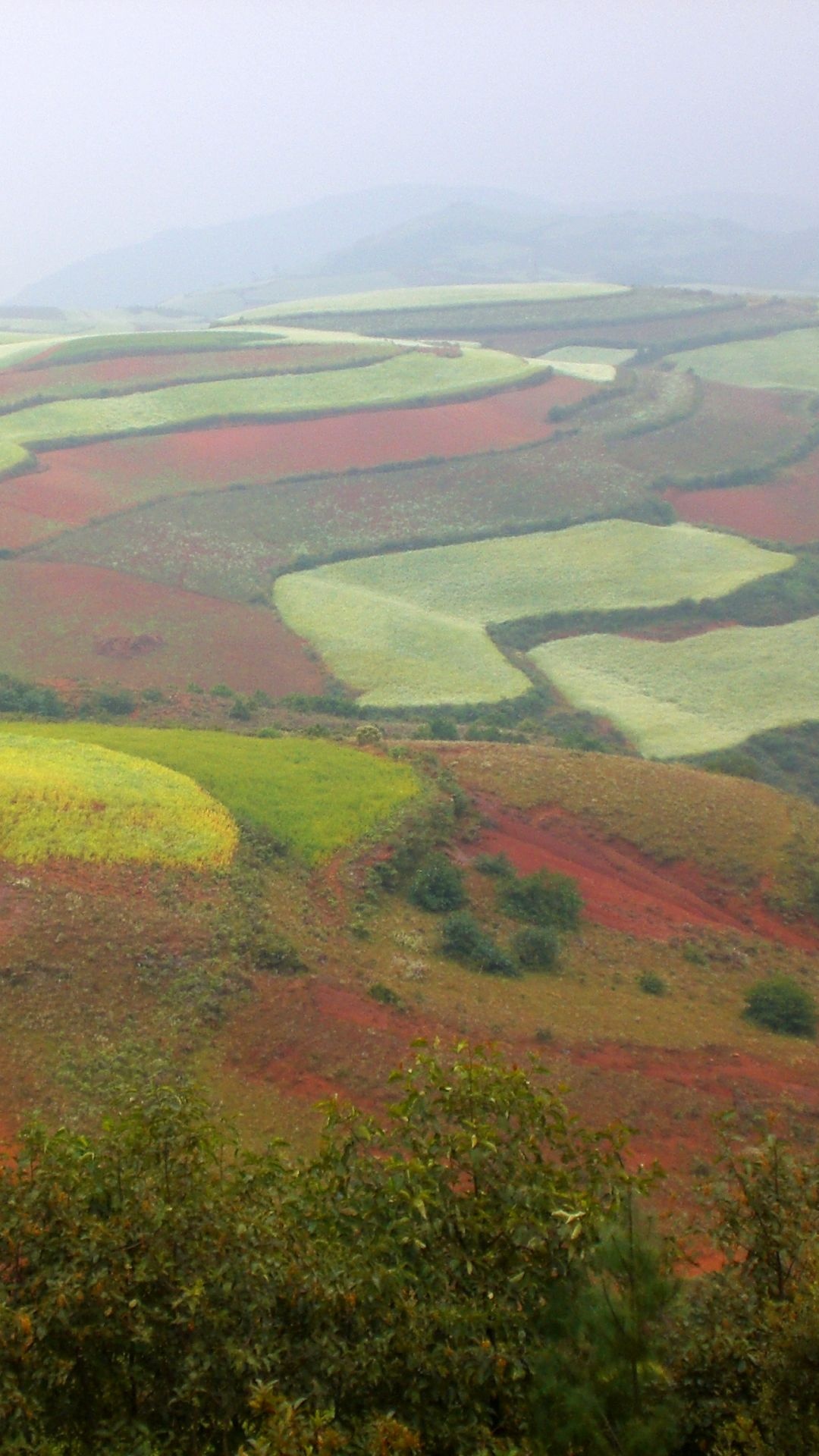 普通的, 旅游景点, 旅行, 旅游业, 高地 壁纸 1080x1920 允许