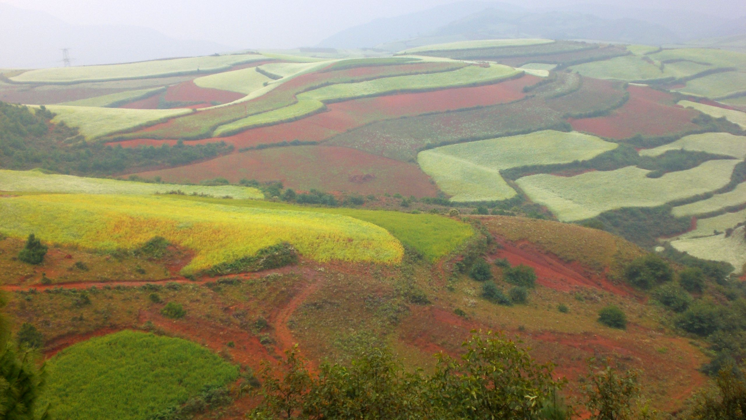 普通的, 旅游景点, 旅行, 旅游业, 高地 壁纸 2560x1440 允许