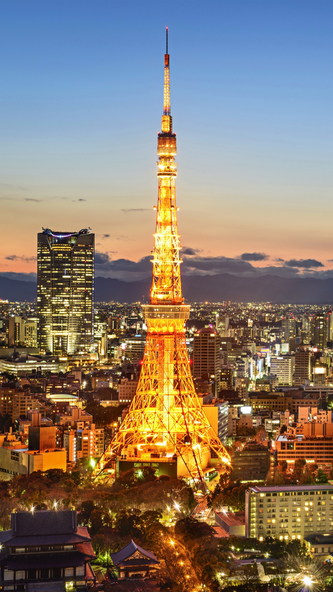 Tour Eiffel à Paris Pendant la Nuit. Wallpaper in 1080x1920 Resolution