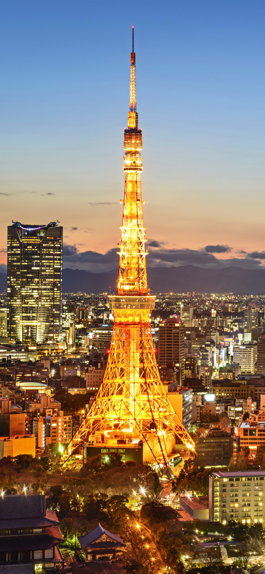 Tour Eiffel à Paris Pendant la Nuit. Wallpaper in 1125x2436 Resolution