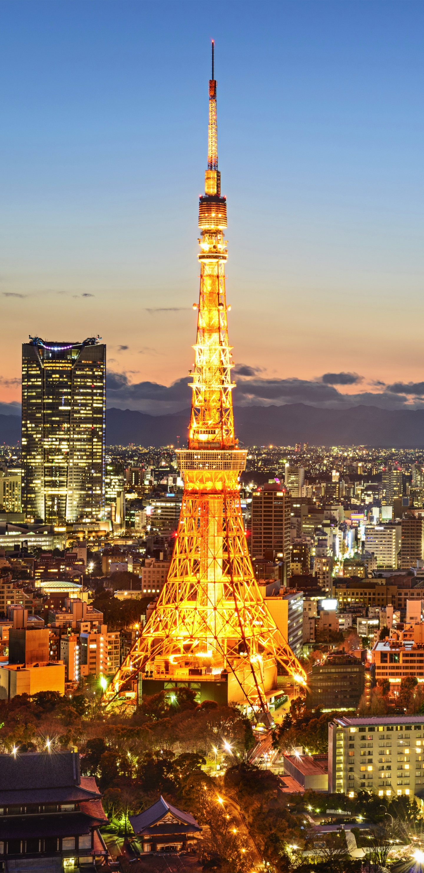 Tour Eiffel à Paris Pendant la Nuit. Wallpaper in 1440x2960 Resolution