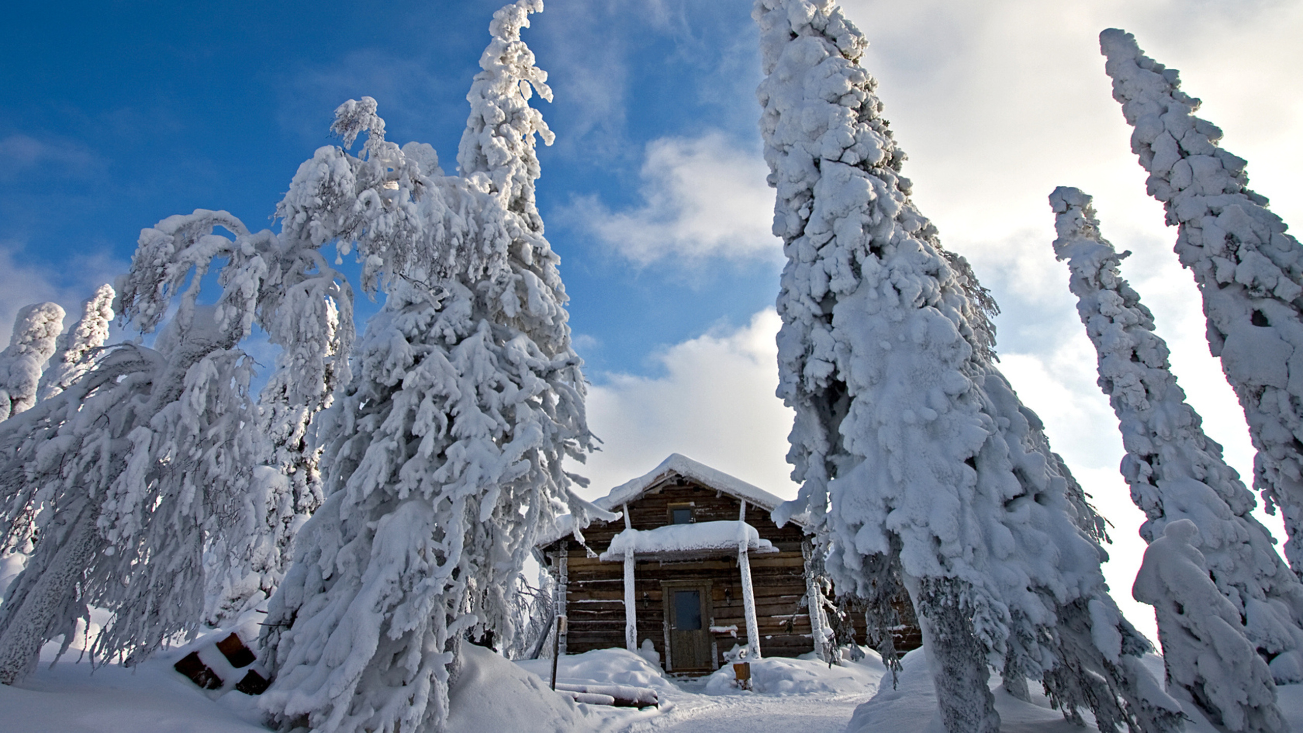 Brown Wooden House Covered With Snow Under Blue Sky During Daytime. Wallpaper in 2560x1440 Resolution