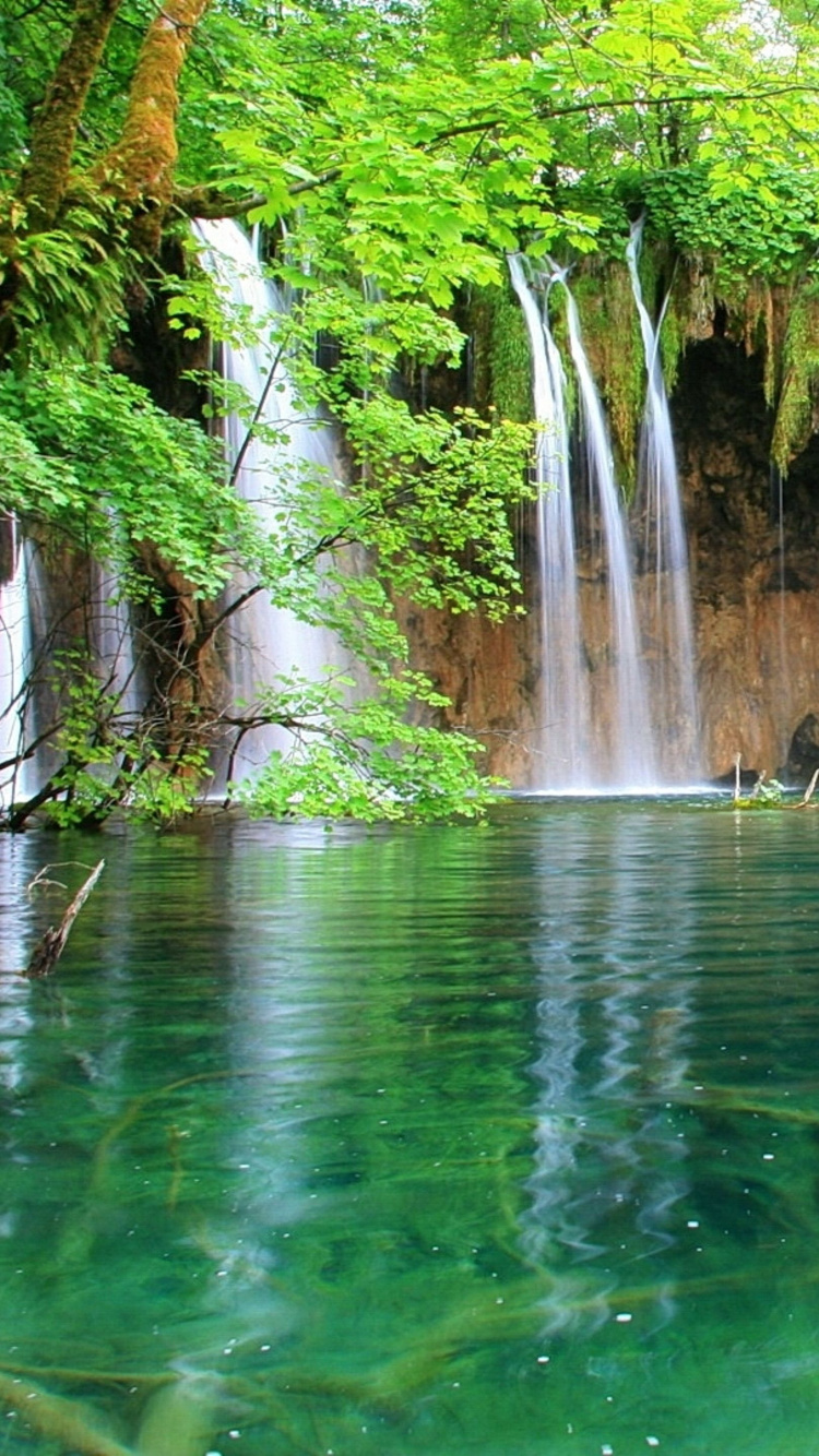 el Agua Cae en Medio Del Bosque. Wallpaper in 750x1334 Resolution