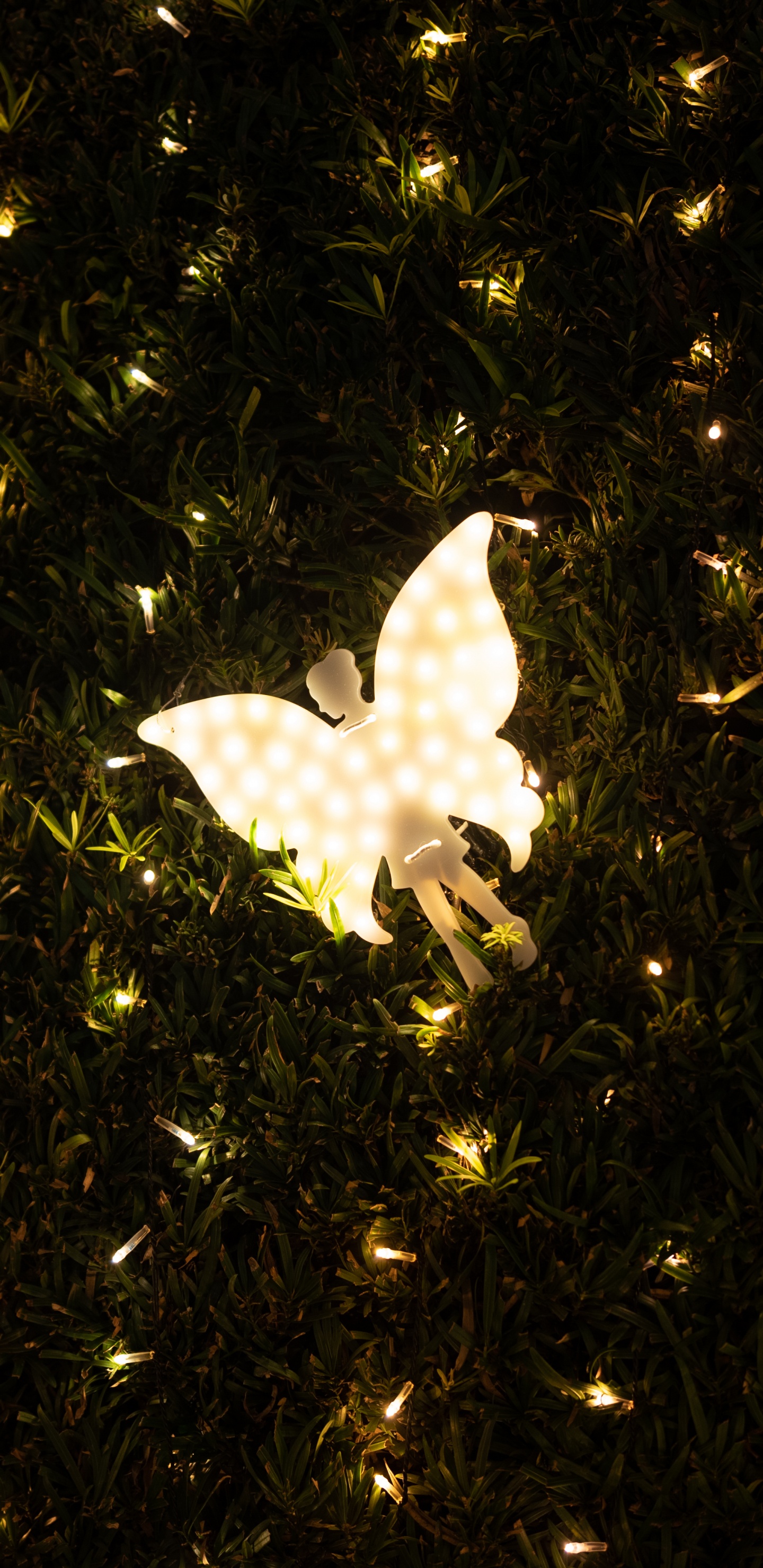 Light, Night, Tree, Space, Butterfly. Wallpaper in 1440x2960 Resolution