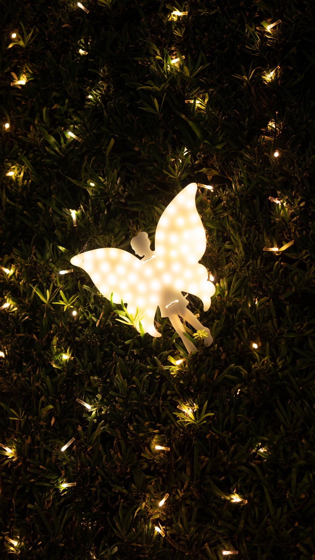 Licht, Nacht, Baum, Raum, Butterfly. Wallpaper in 1080x1920 Resolution