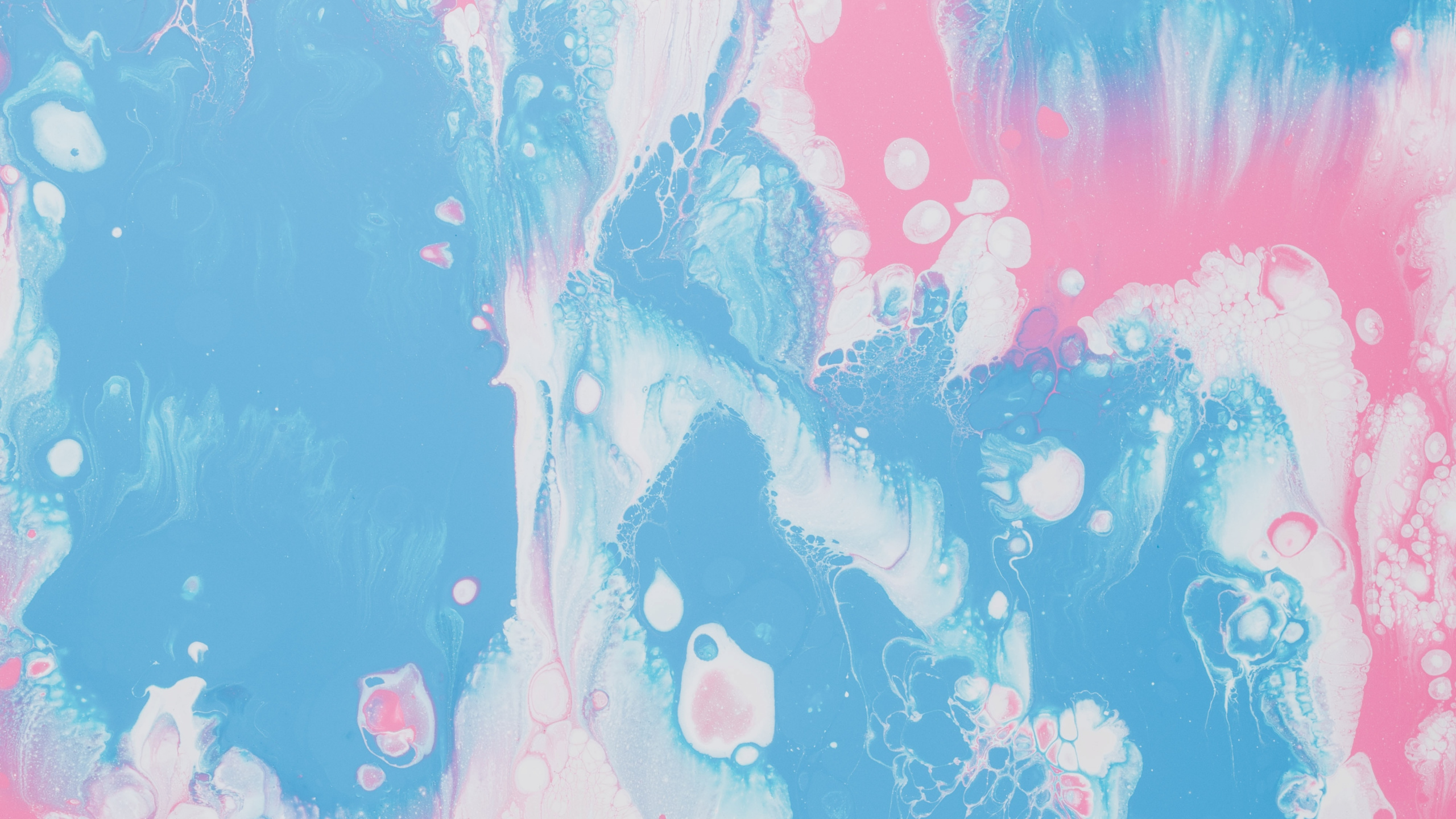 Pintura Abstracta Azul y Rosa. Wallpaper in 2560x1440 Resolution