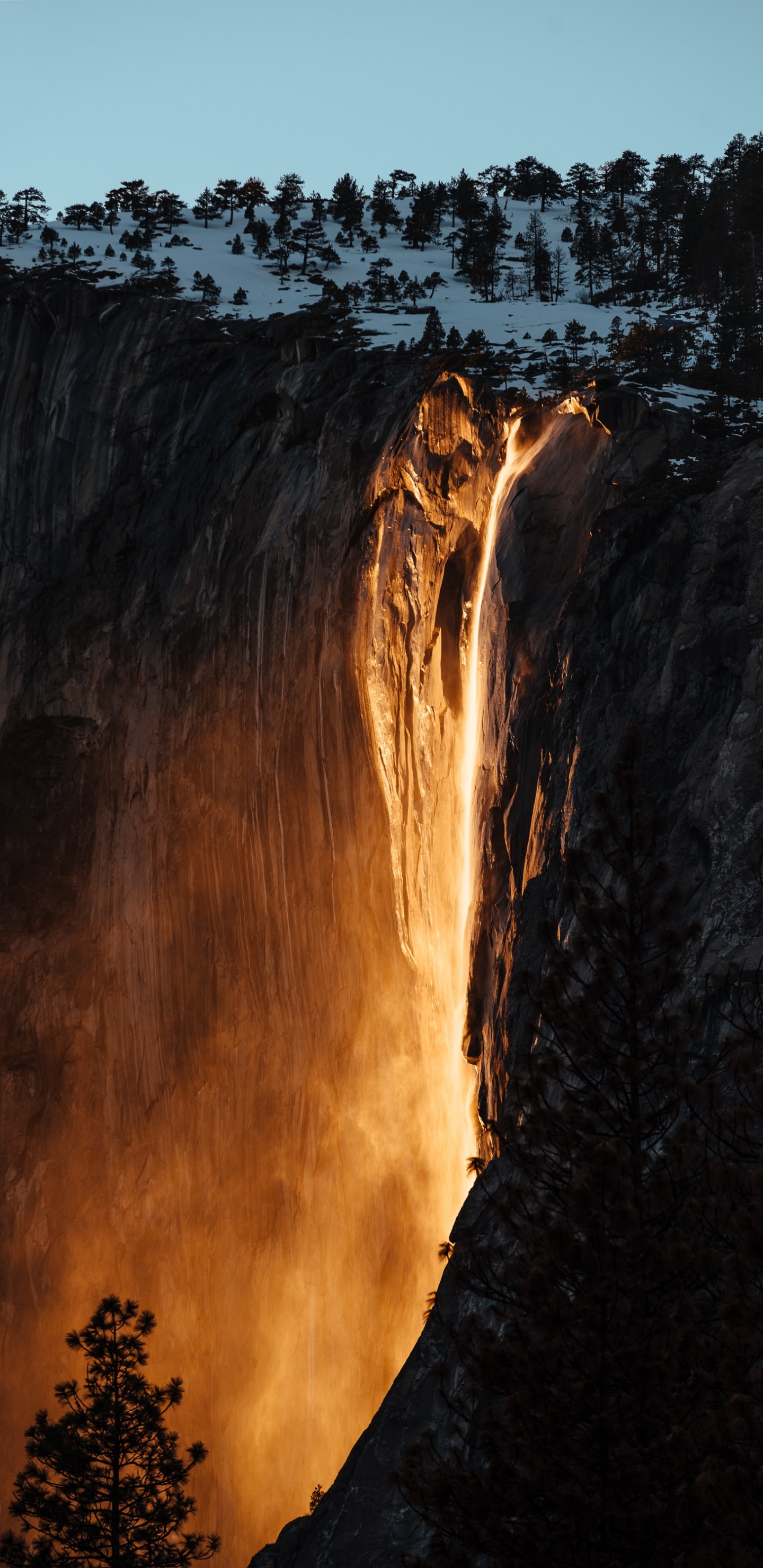 Tree, Sky, Yosemite Firefall, Formation, Nature. Wallpaper in 1440x2960 Resolution