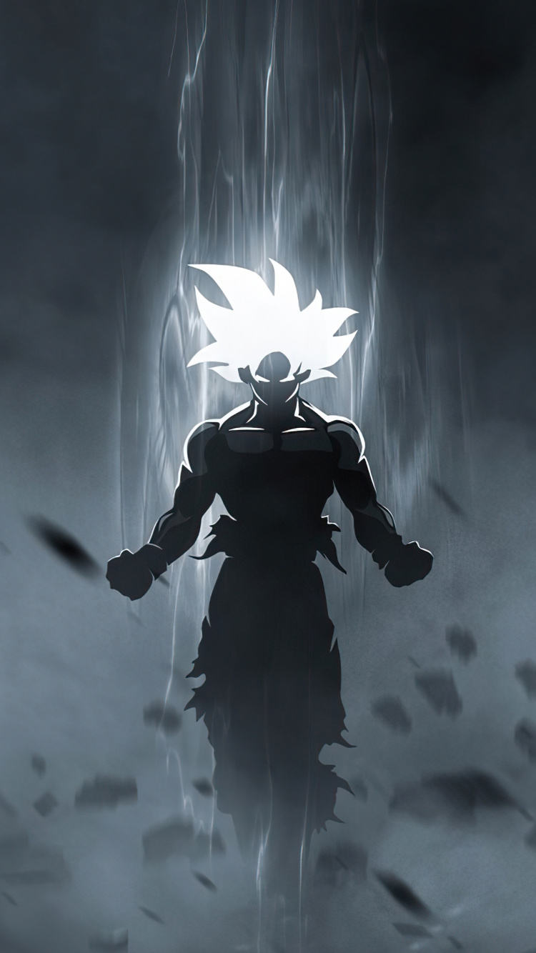 Son-goku, Zamasu, Vegeta, Son Gohan, Dragonball. Wallpaper in 750x1334 Resolution