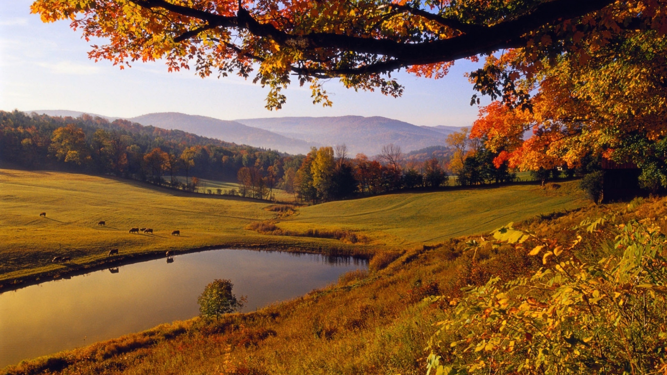 Landscape, Autumn, Natural Landscape, Nature, Tree. Wallpaper in 1366x768 Resolution