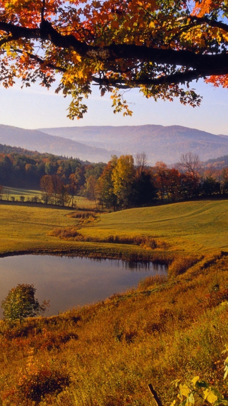 Herbst, Naturlandschaft, Natur, Baum, Reflexion. Wallpaper in 750x1334 Resolution