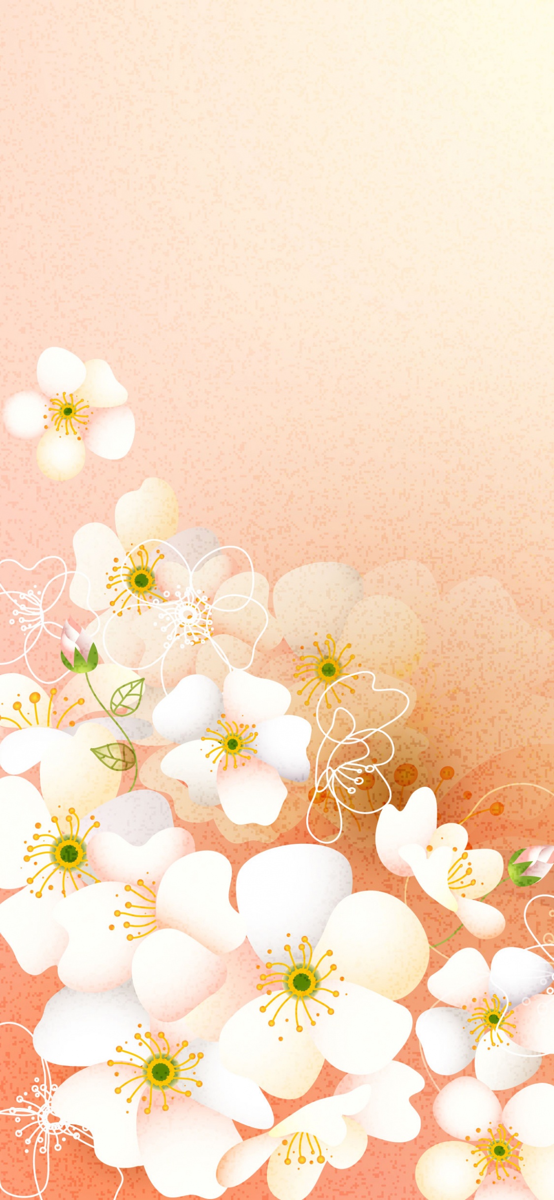 Fleurs Blanches et Jaunes Sur Fond Rose. Wallpaper in 1125x2436 Resolution