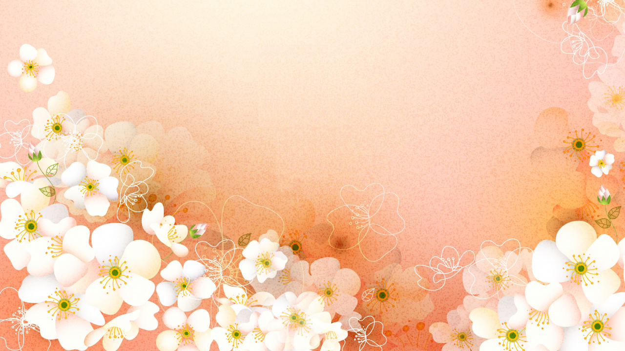 Weiße Und Gelbe Blumen Mit Rosa Hintergrund. Wallpaper in 1280x720 Resolution