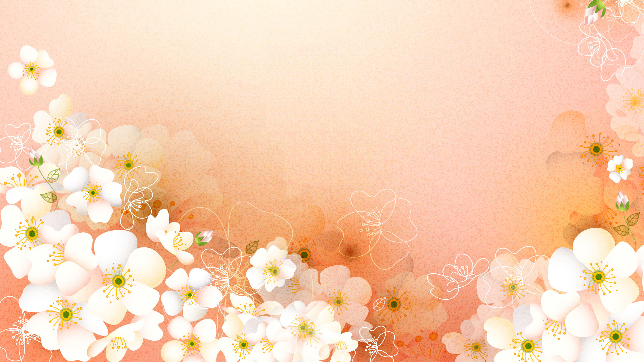 Weiße Und Gelbe Blumen Mit Rosa Hintergrund. Wallpaper in 2560x1440 Resolution