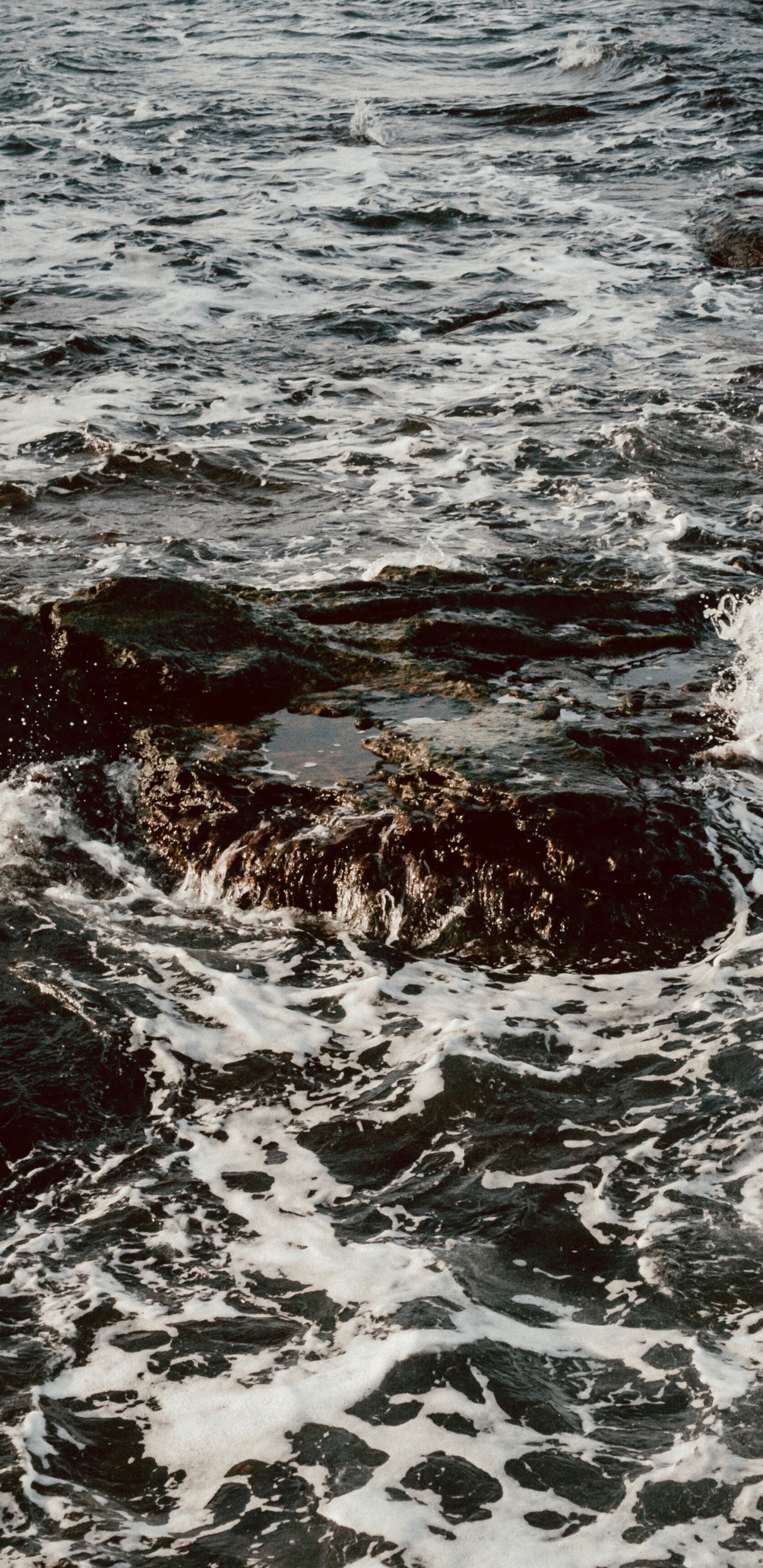 大海, 海岸, 风波, 潮, 海洋 壁纸 1440x2960 允许