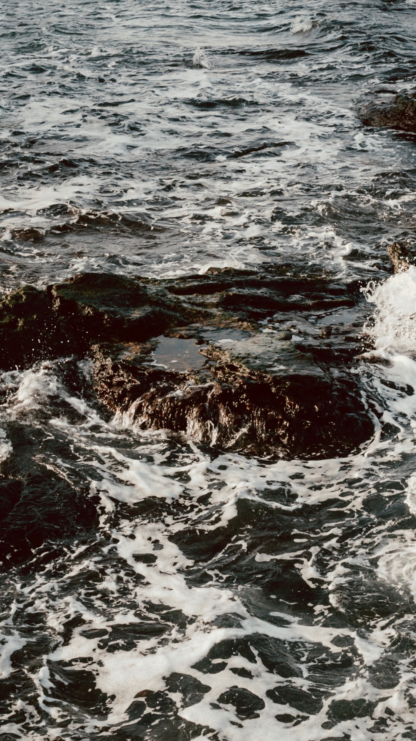 Meer, Küste, Wind Welle, Wasser, Flut. Wallpaper in 1440x2560 Resolution