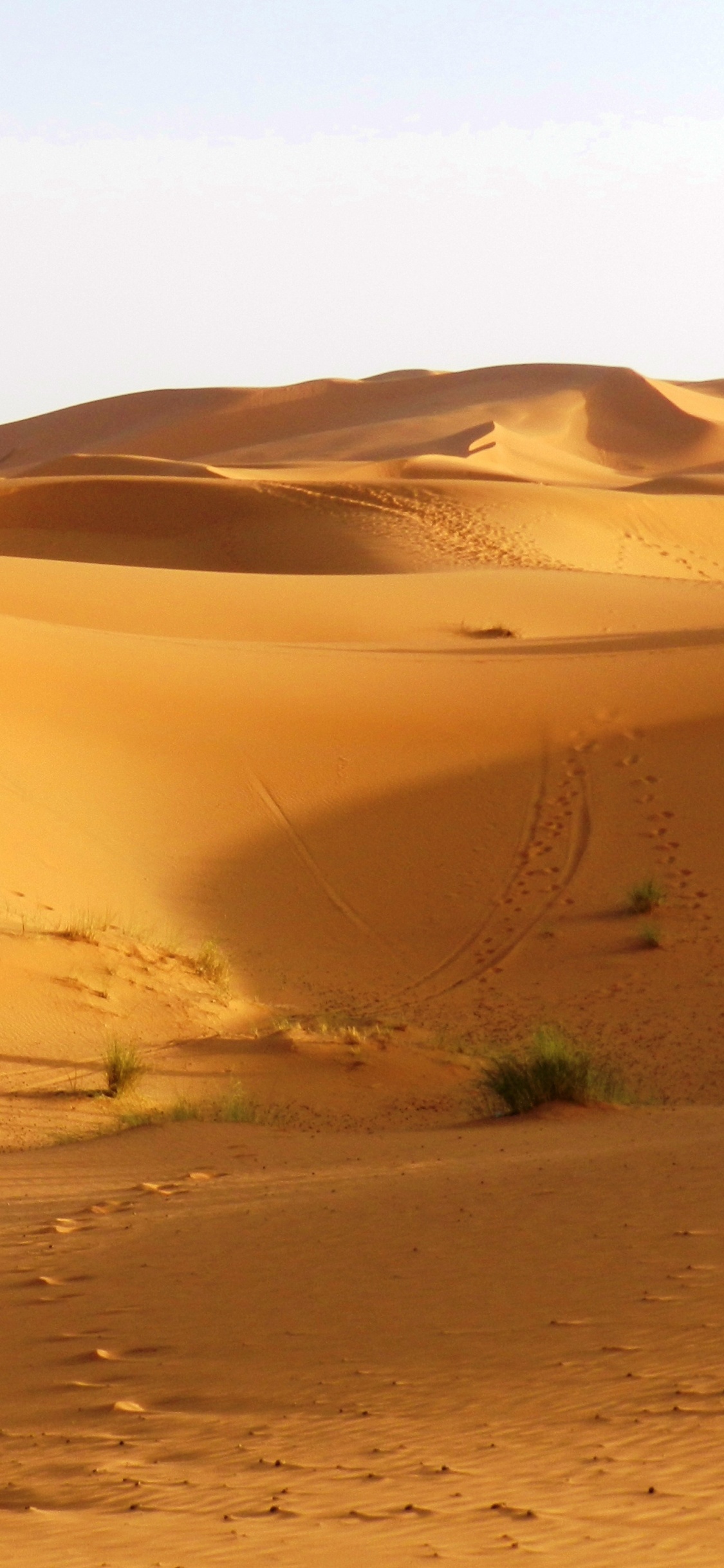 Dunes de Sable Brun Pendant la Journée. Wallpaper in 1125x2436 Resolution