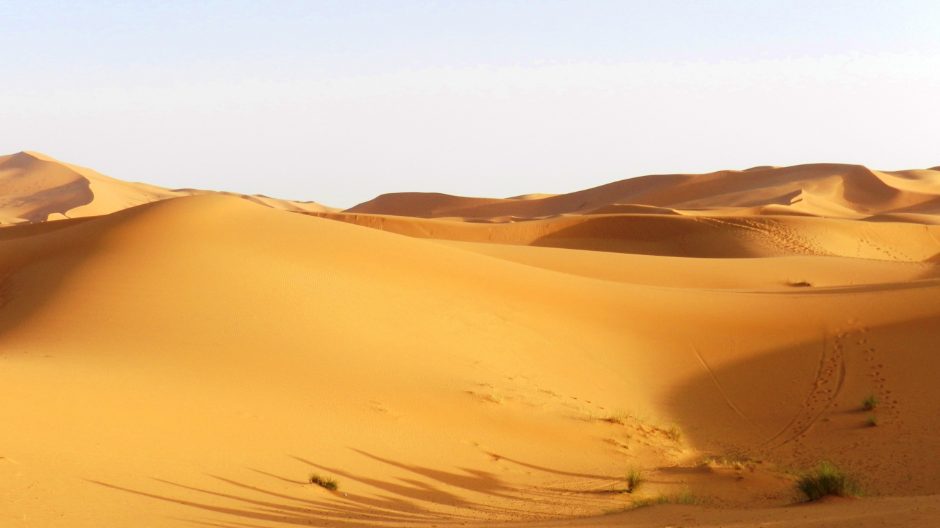 Dunes de Sable Brun Pendant la Journée. Wallpaper in 1366x768 Resolution