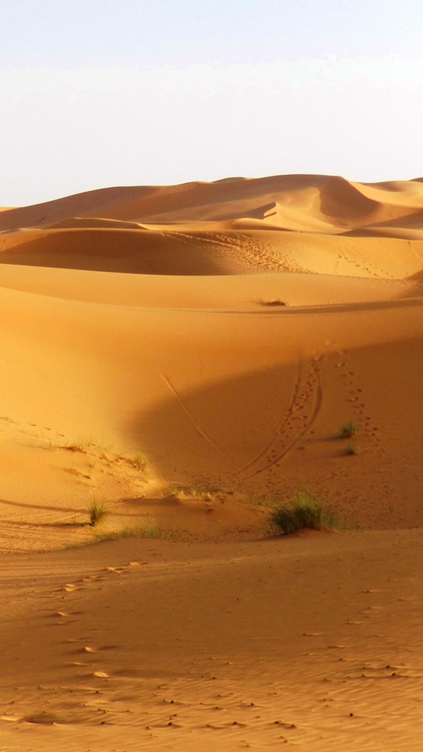 Dunes de Sable Brun Pendant la Journée. Wallpaper in 1440x2560 Resolution