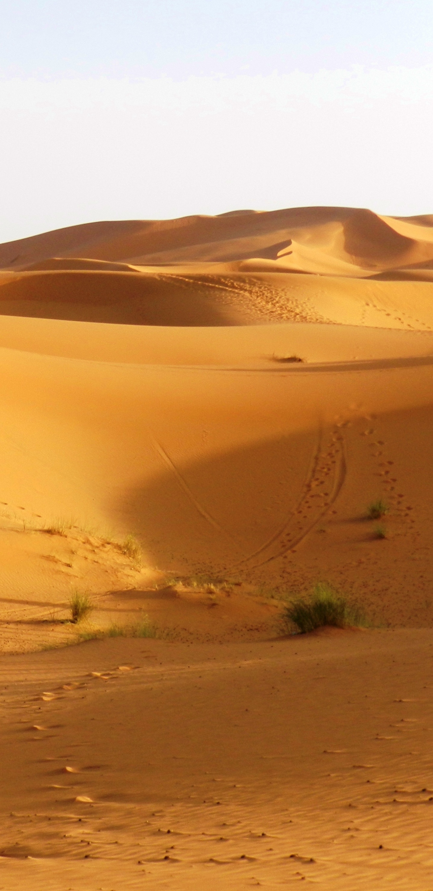 Brown Sand Dunes During Daytime. Wallpaper in 1440x2960 Resolution